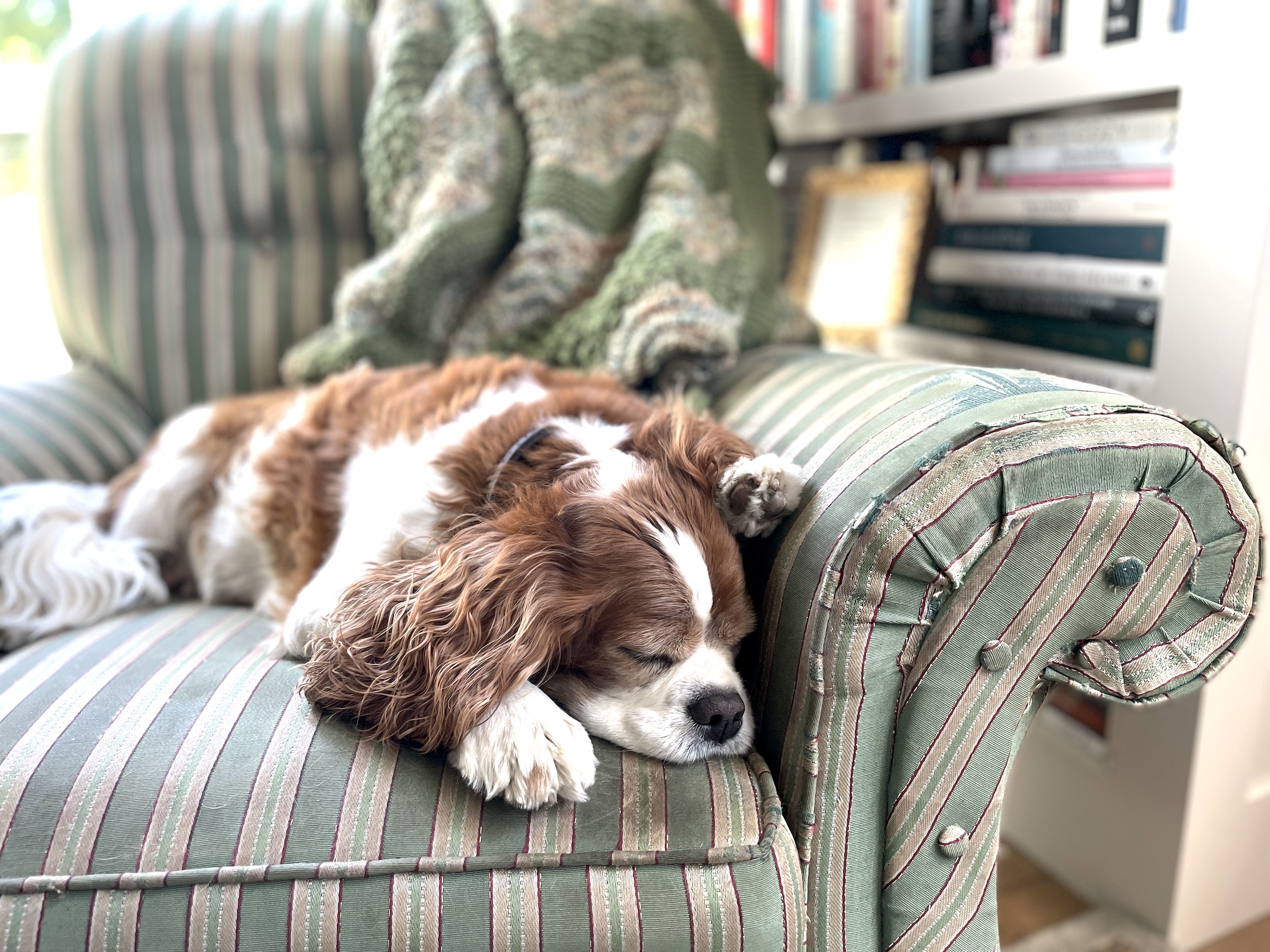 15 Things That Made Me Smile This Month, So Far . . . (July 2022)