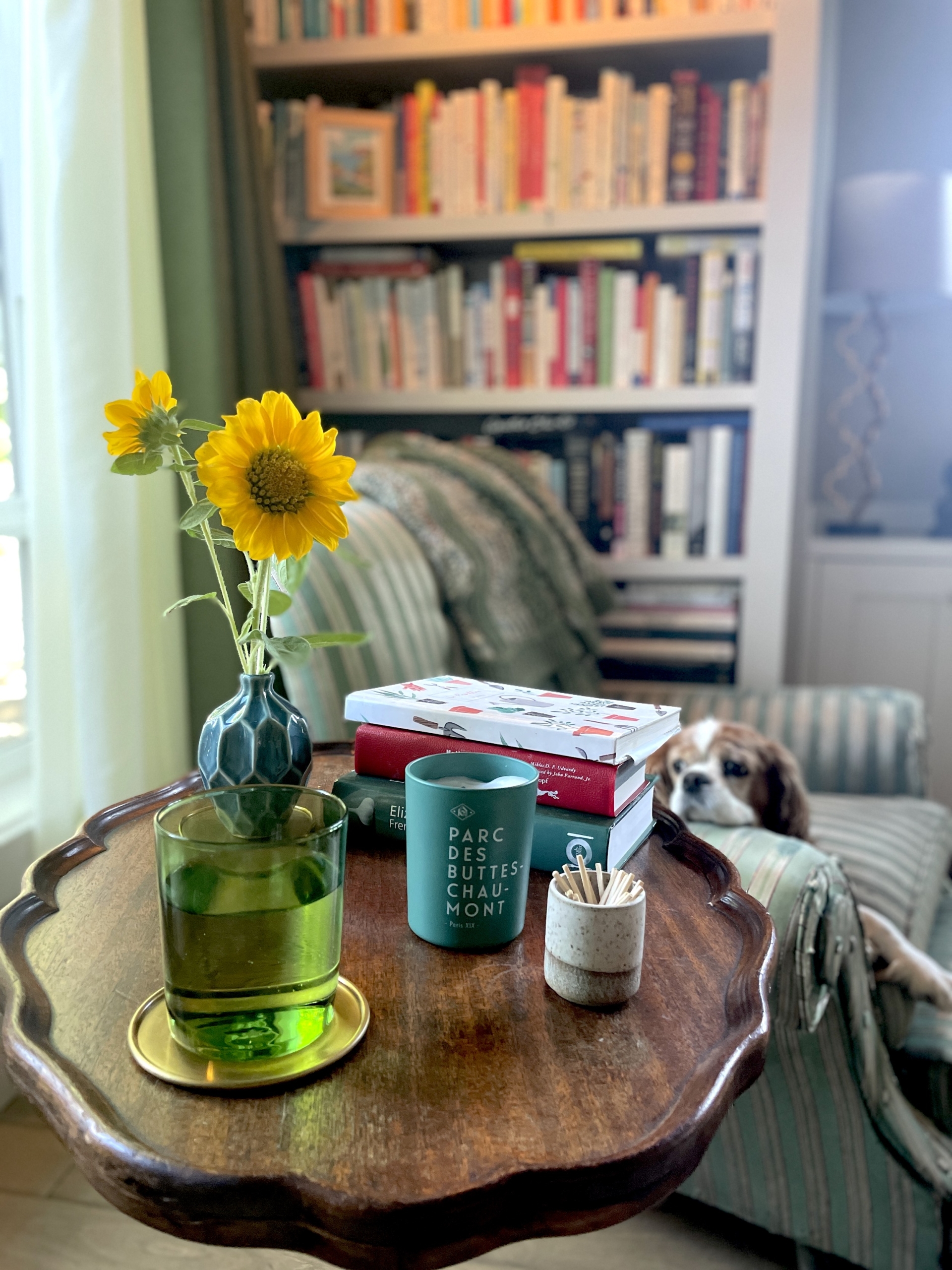 The Giveaway Winners Announced, all Nine, and Merci TSLL Readers