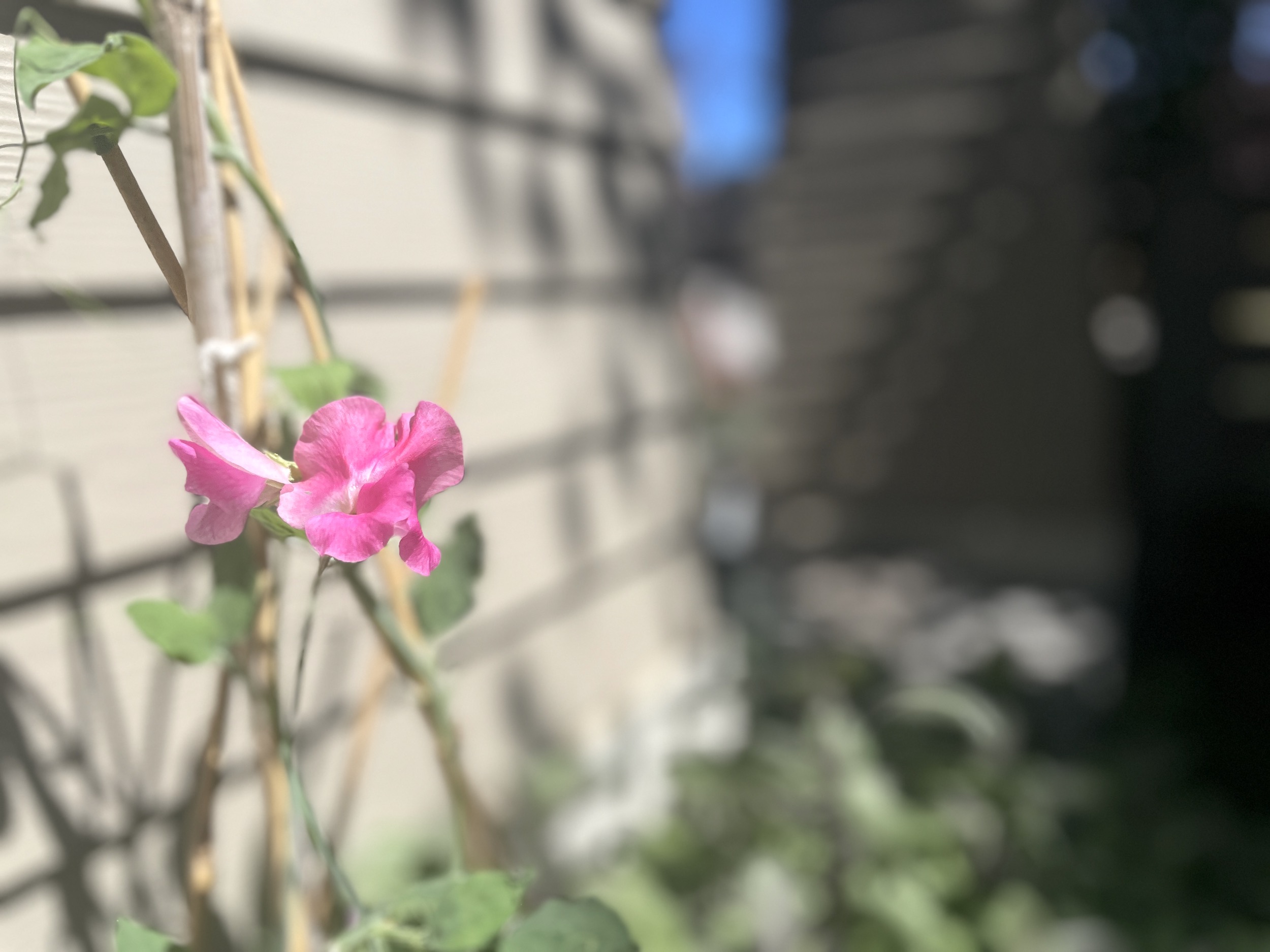 11 Tasks to Ready Yourself for a Lovely La Rentrée and an Enjoyable Everyday Pace of Life