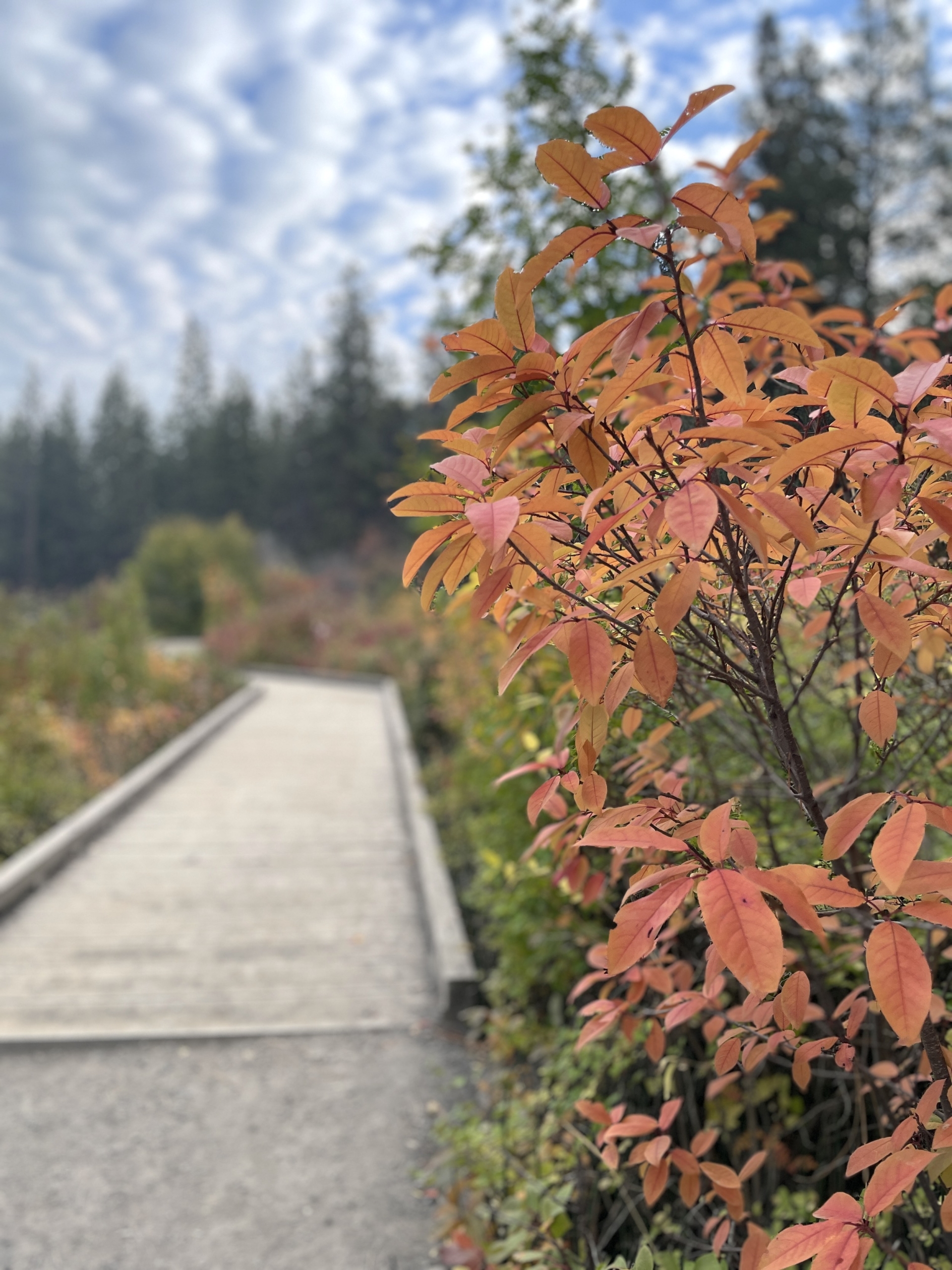 18 Things That Made Me Smile This Month, So Far . . .