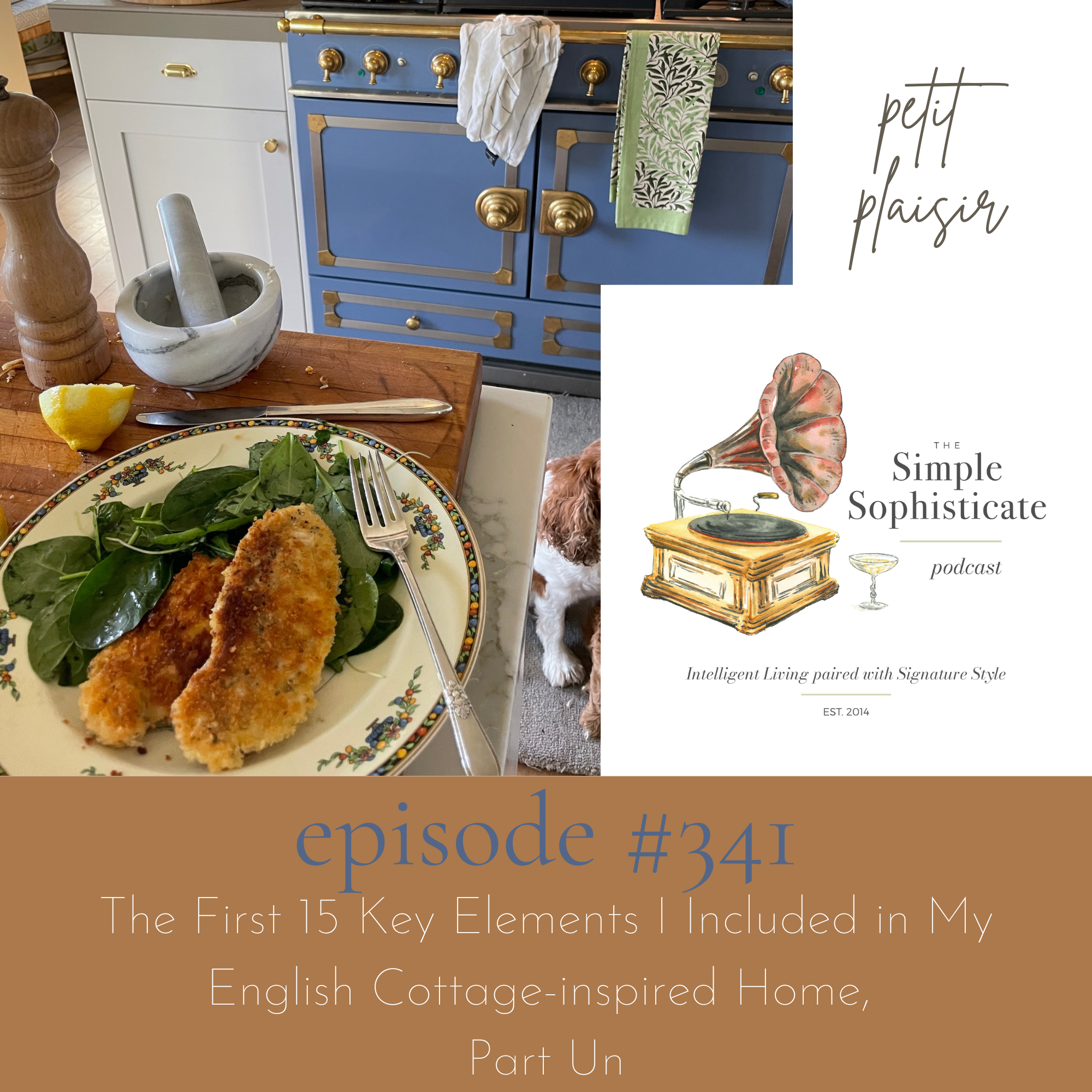 Chicken Schnitzel with Lemon Herb Salad, petit plaisir #341