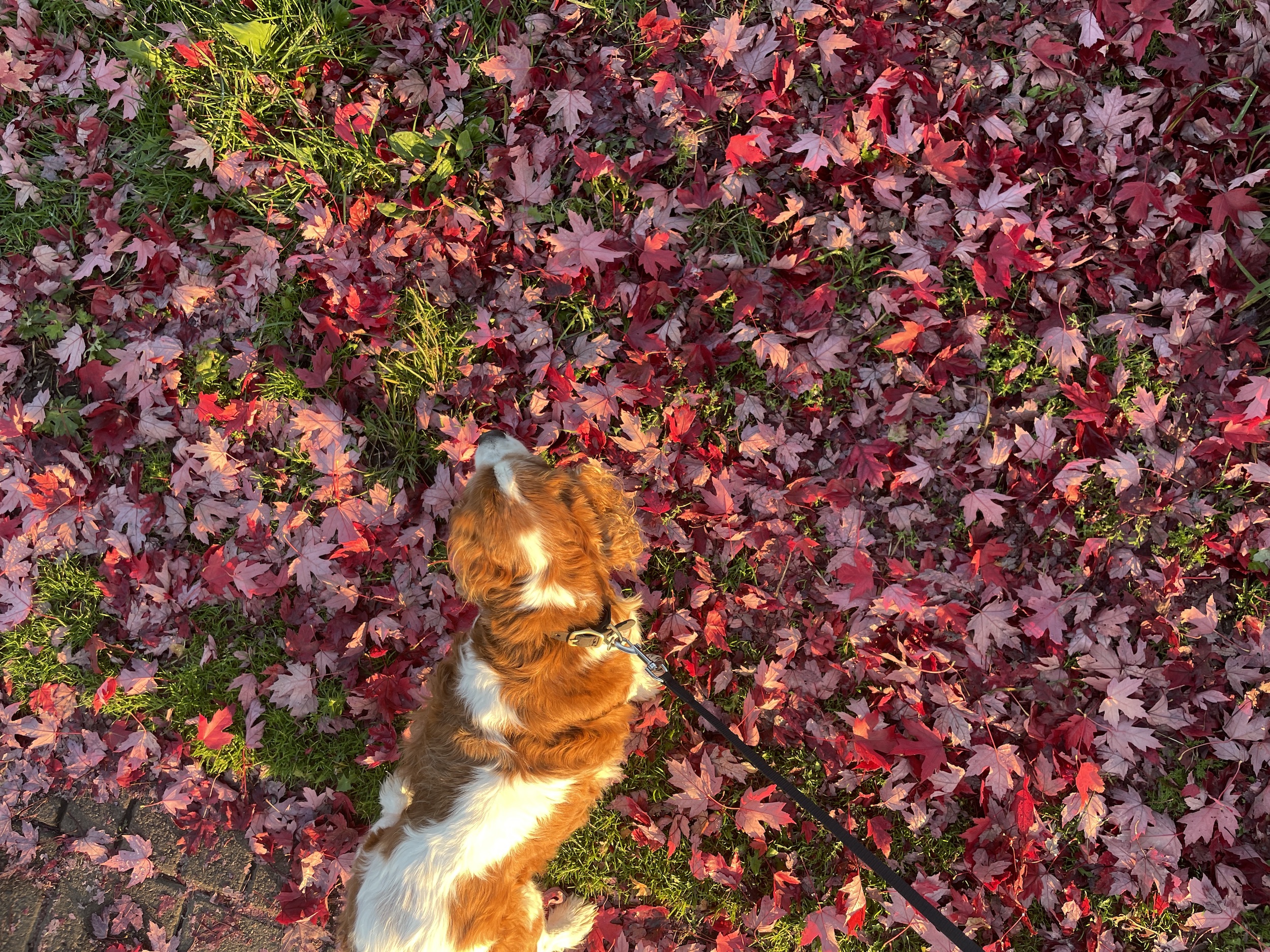 14 October Ponderings . . .
