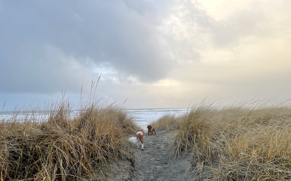 13 Things That Made Me Smile This Month, So Far . . . (January 2023)