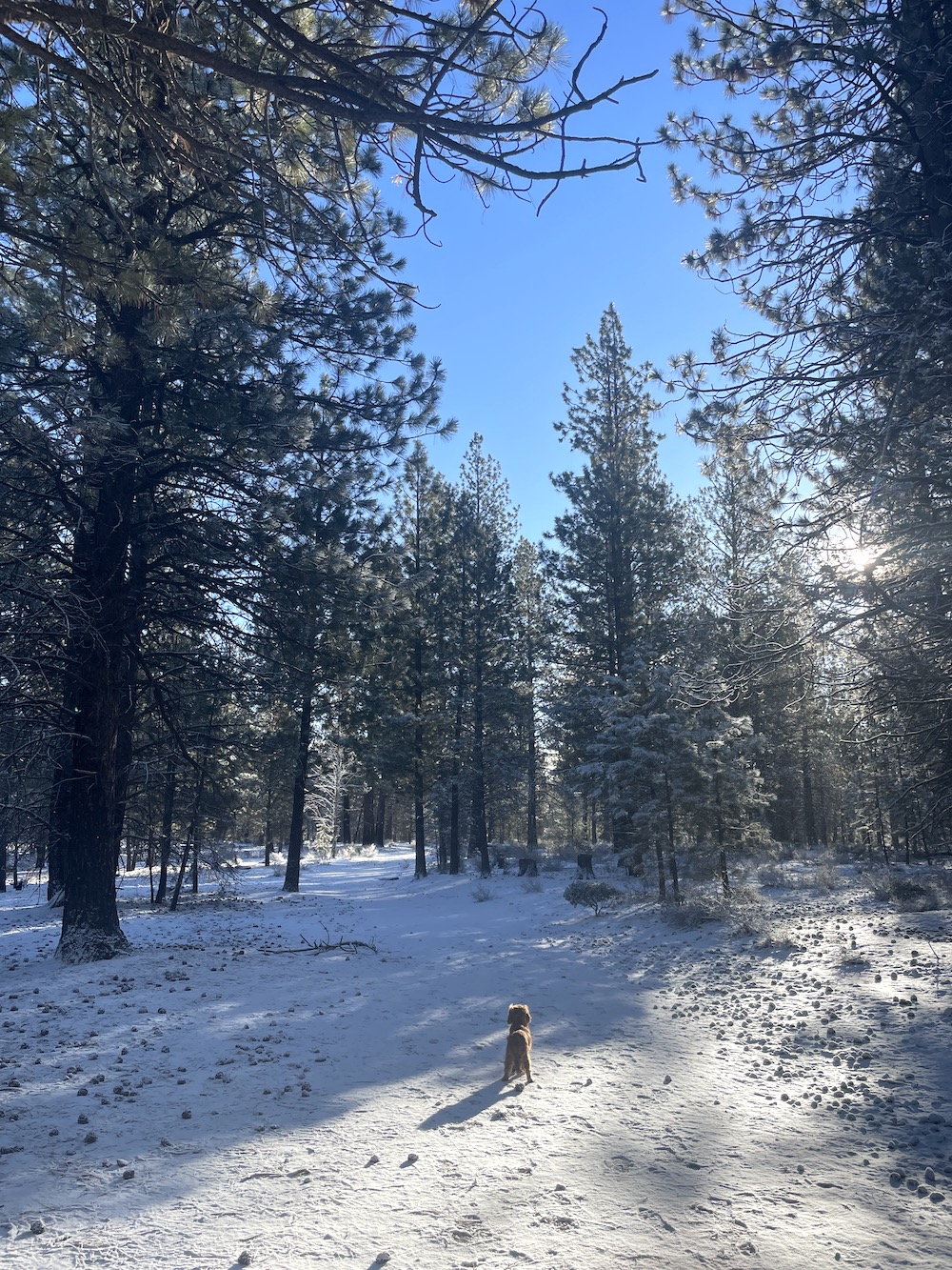 14 Things That Made Me Smile This Month, So Far . . . (February 2023)