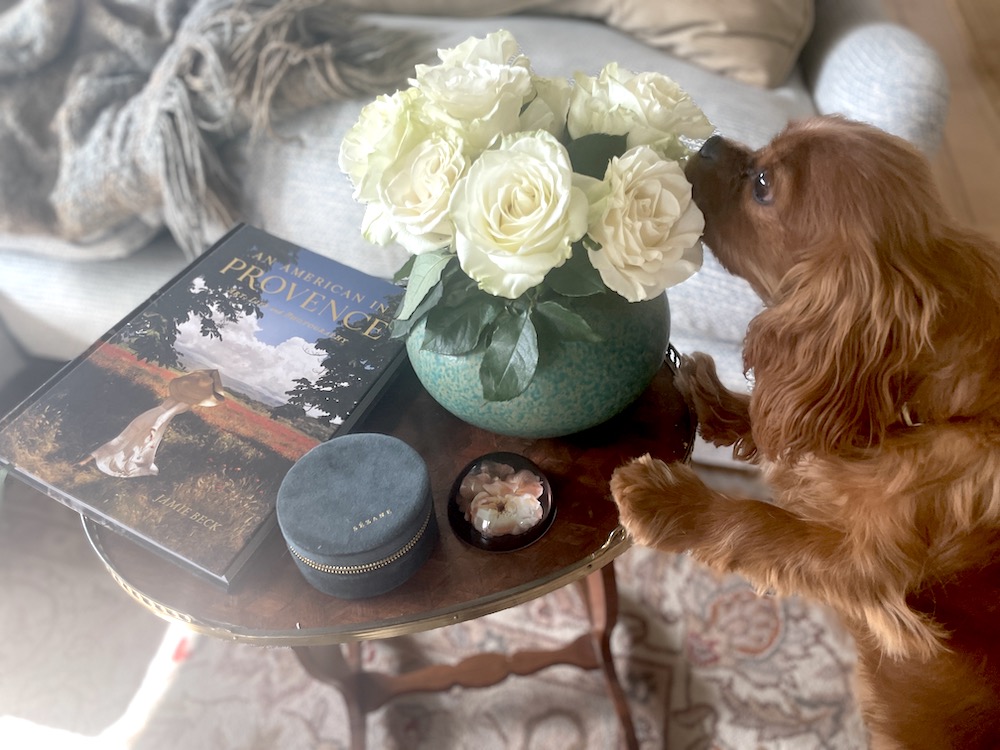 105: 11 Ways to Make Any Home Your Sanctuary