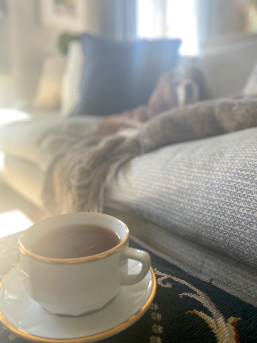 14 Things That Made Me Smile This Month, So Far . . . (September ’22)
