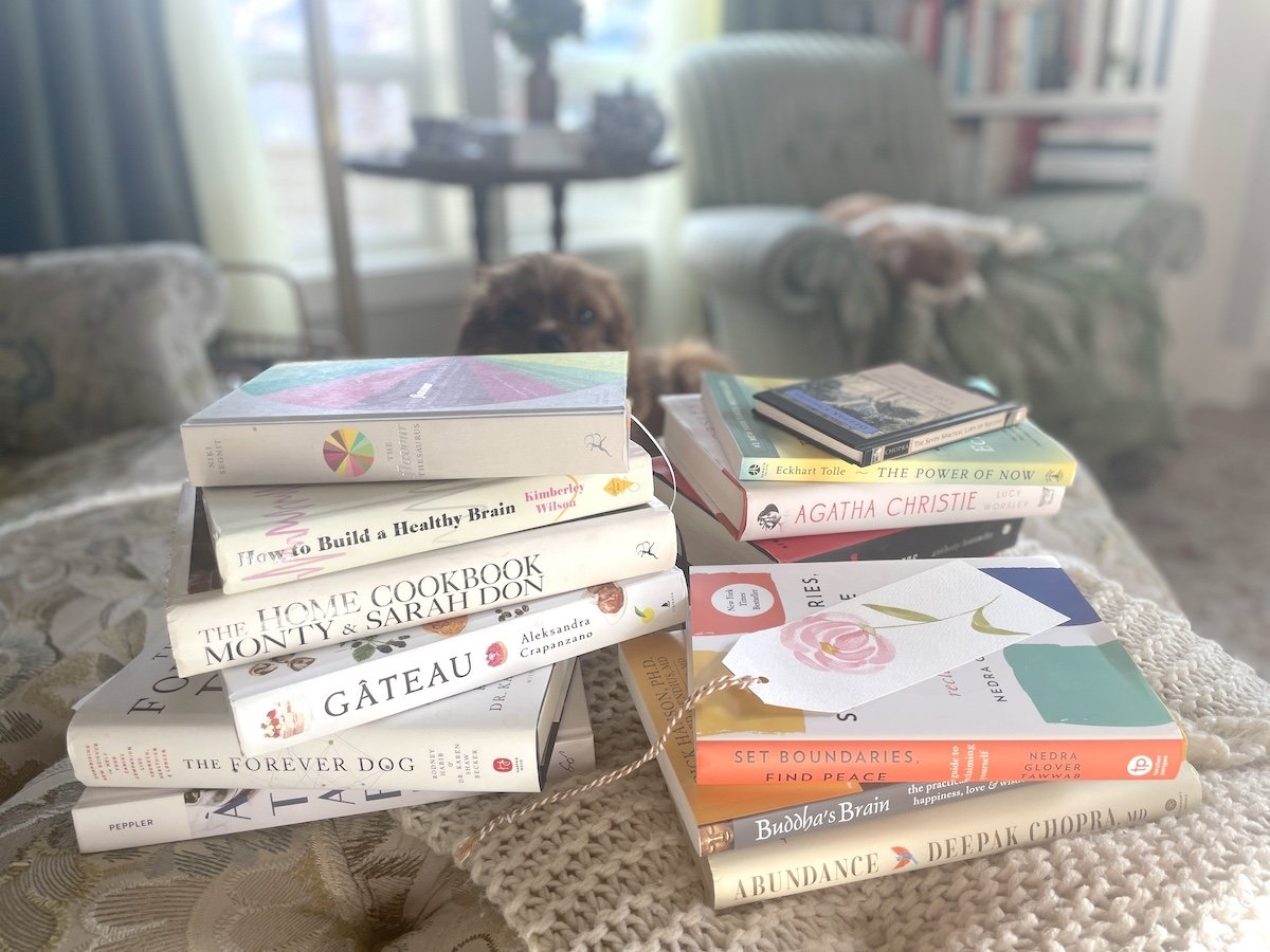 Shannon’s 12 Favorite Books of 2022 & Celebrating 13 Years of TSLL!