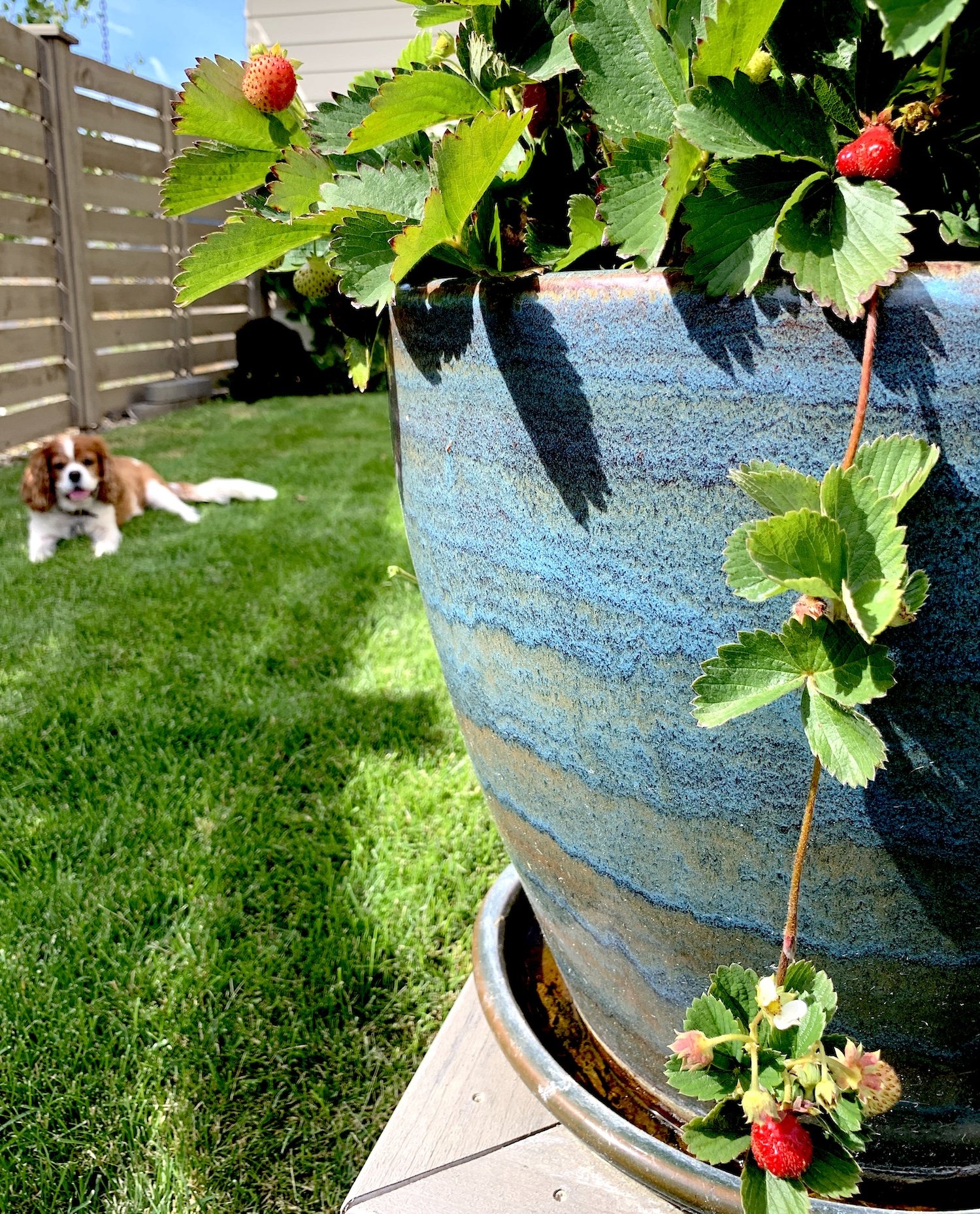 10 Things Gardening Can Teach Us About Living Well