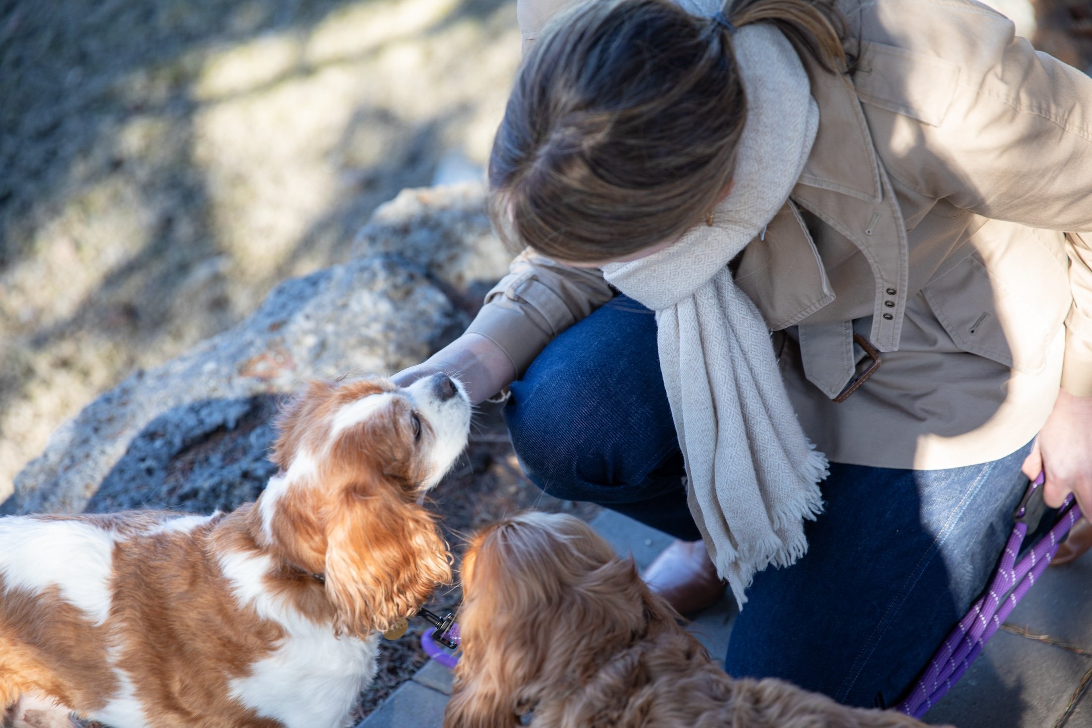 What Kindness Is and Why It Epitomizes Strength