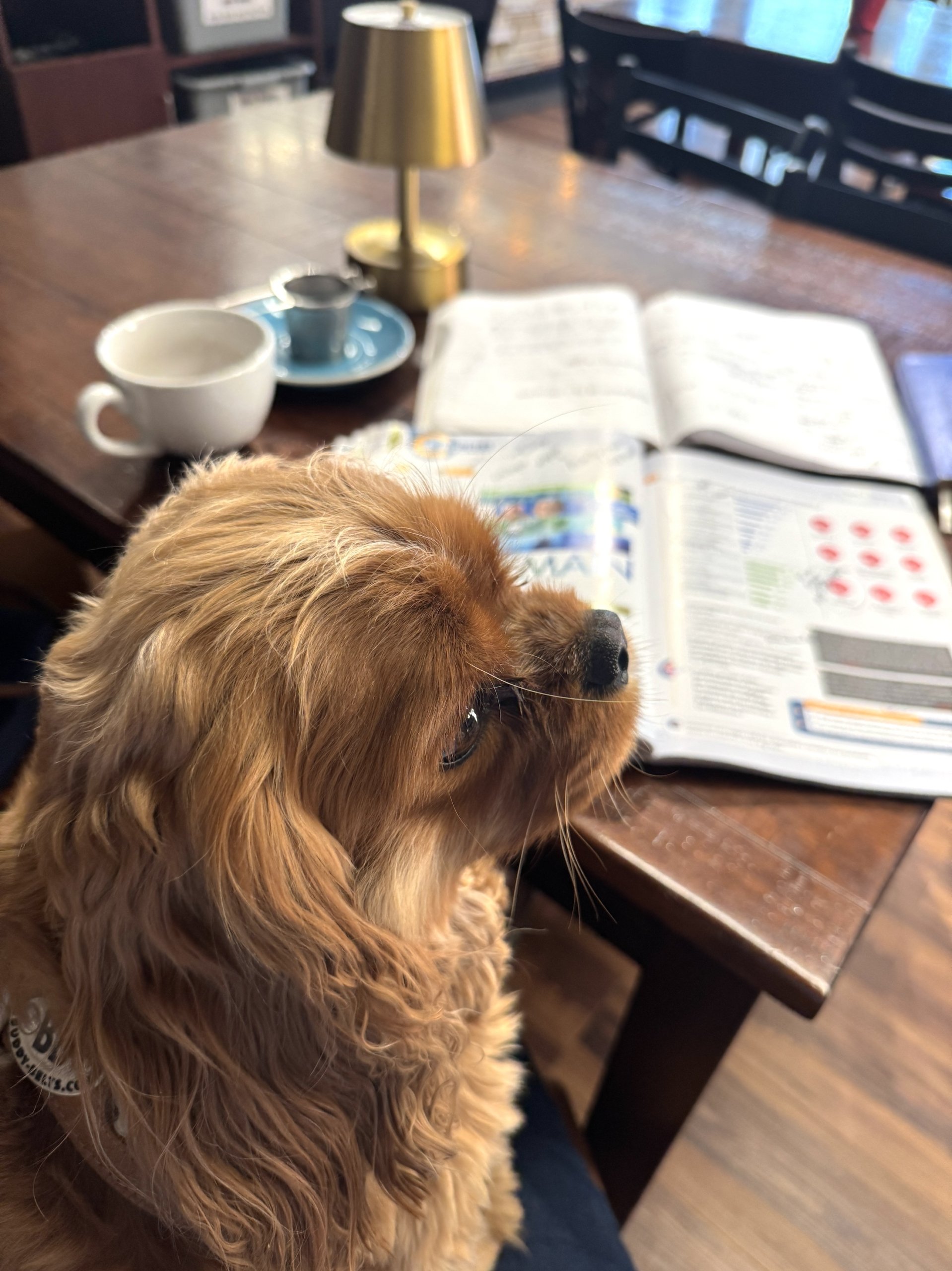 9 Things That Made Me Smile This Month, So Far . . .