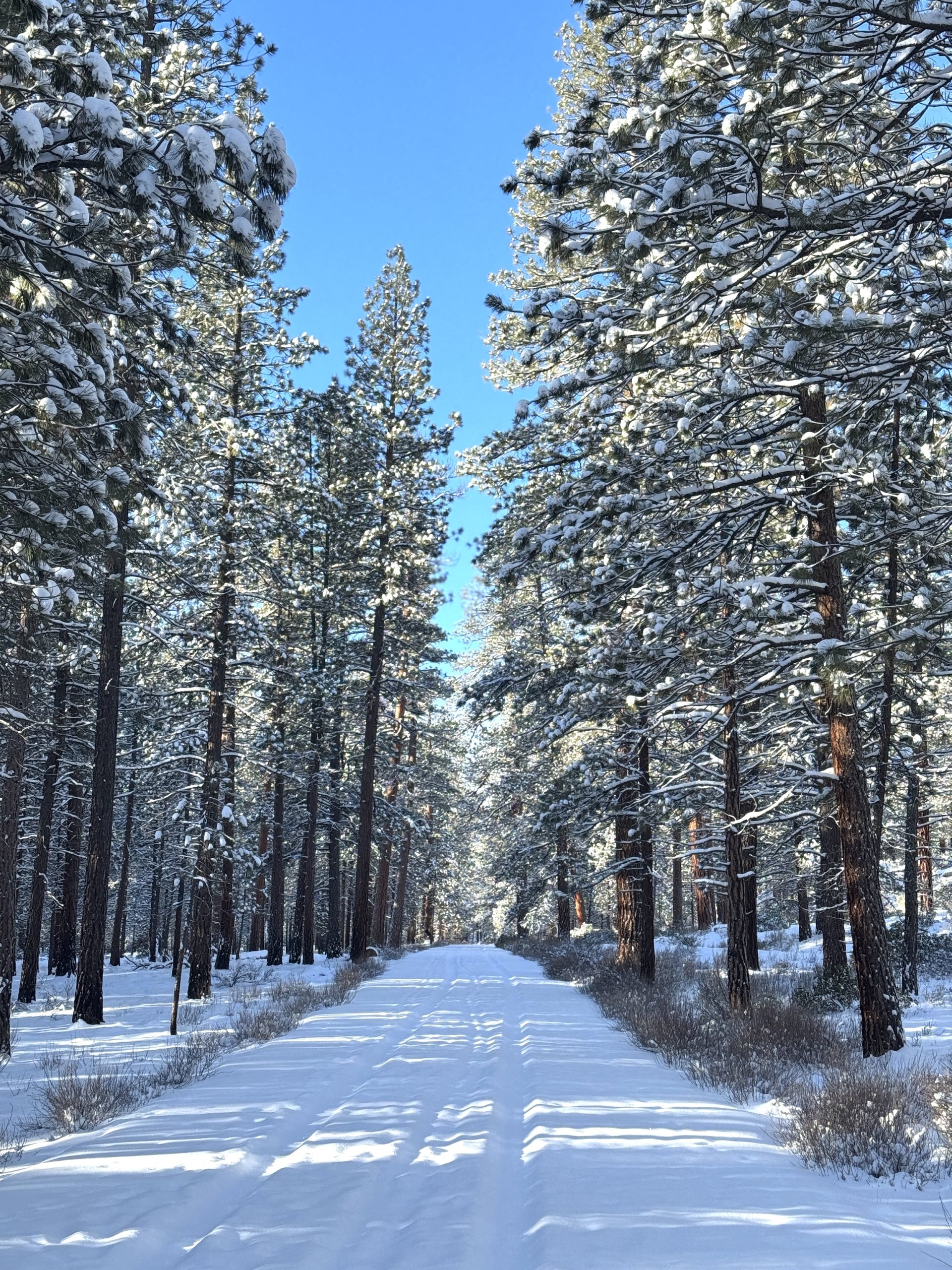 10 Things That Made Me Smile This Month, So Far . . . (February 2025)