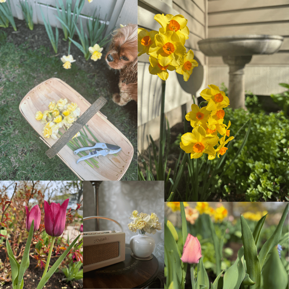 April2025ig