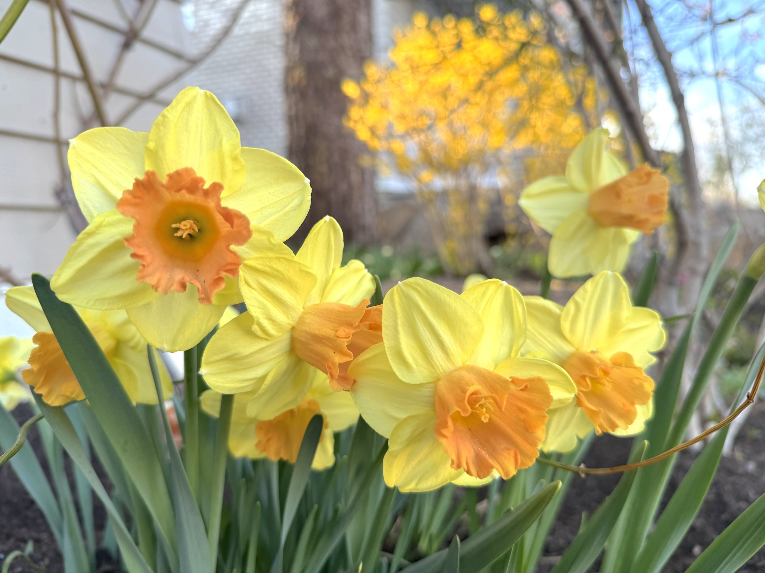 How Well We Blossom in Spring Depends Upon What We Put into Motion in Autumn