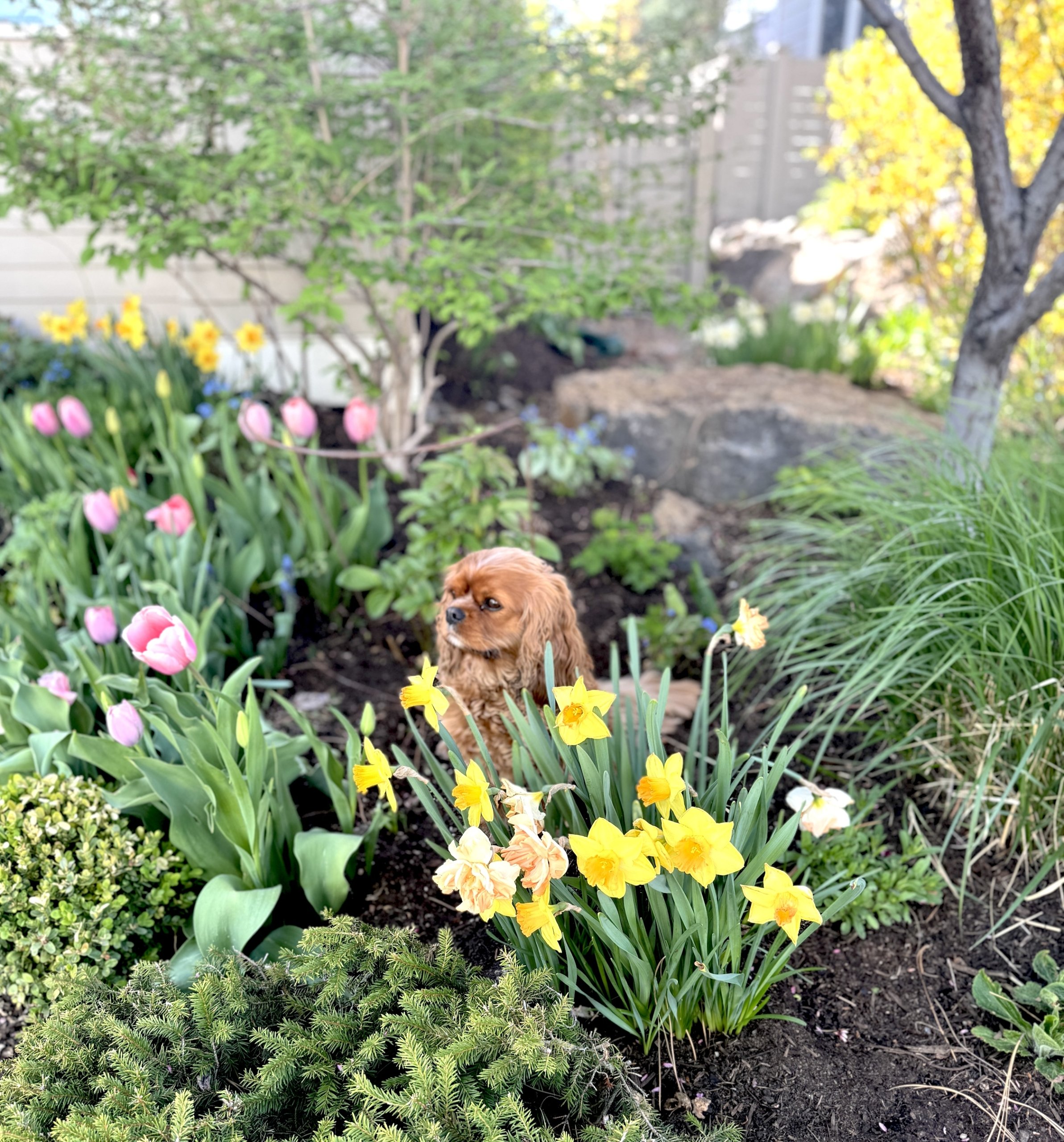 11 Things That Made Me Smile This Month, April 2025