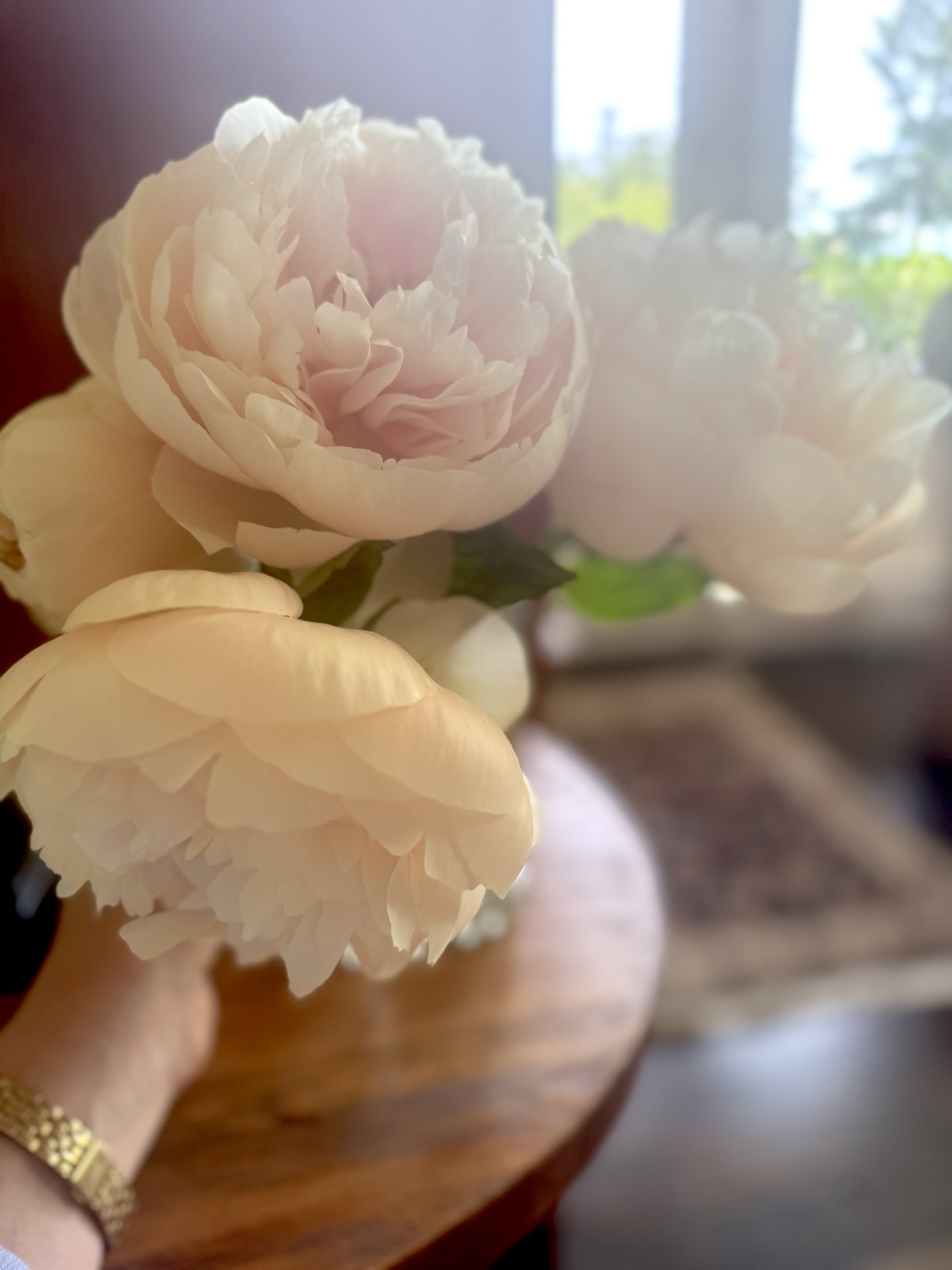 10 June Ponderings . . .