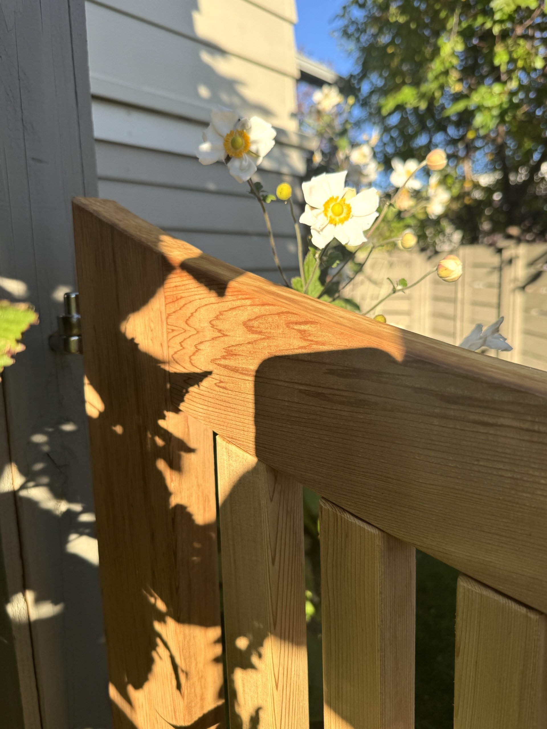 The New Cottage Garden Gate – A Perfectly Picketed Piece of Charm (and functionality)