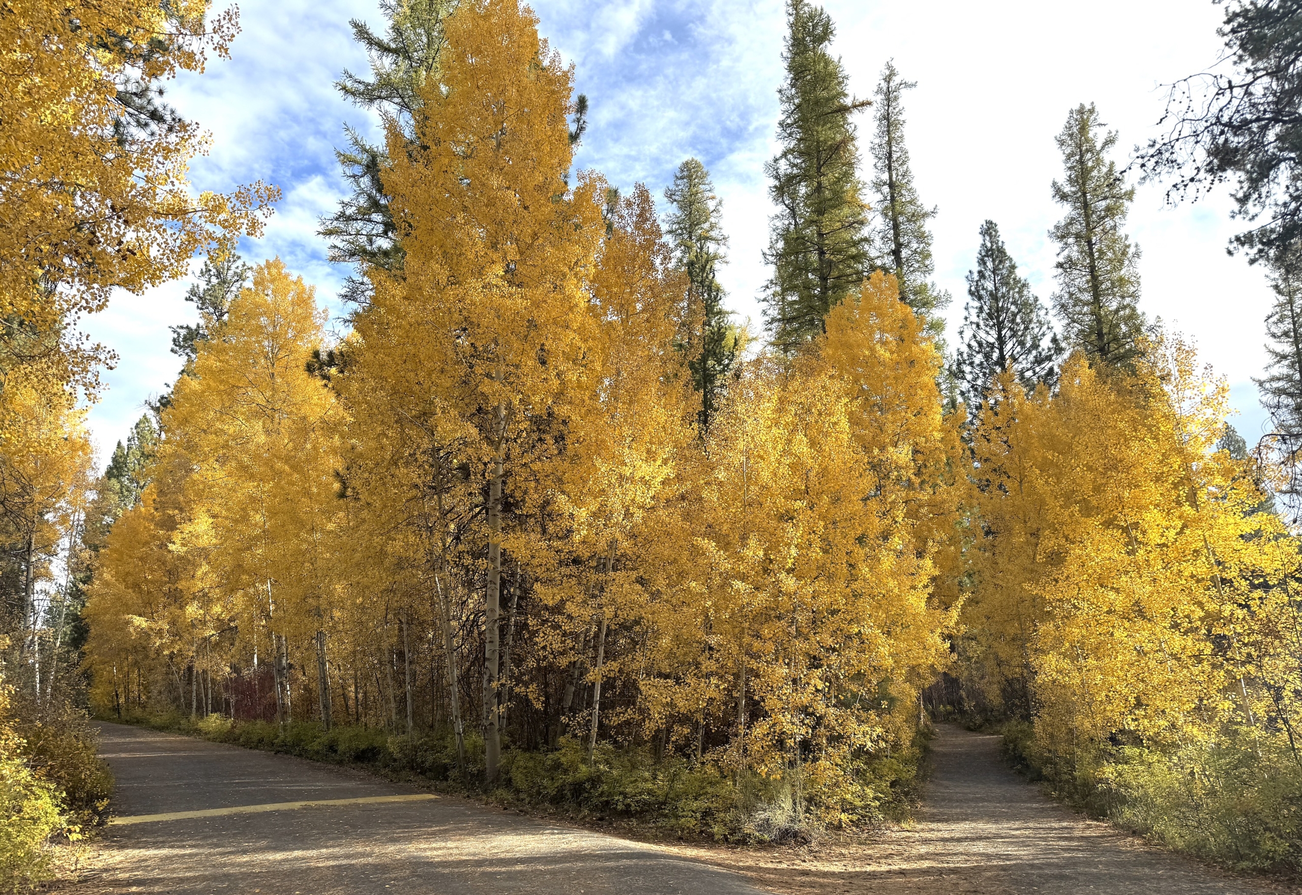 22 of Autumn’s Offered Savorings, and the Five Specific Ways to Savor