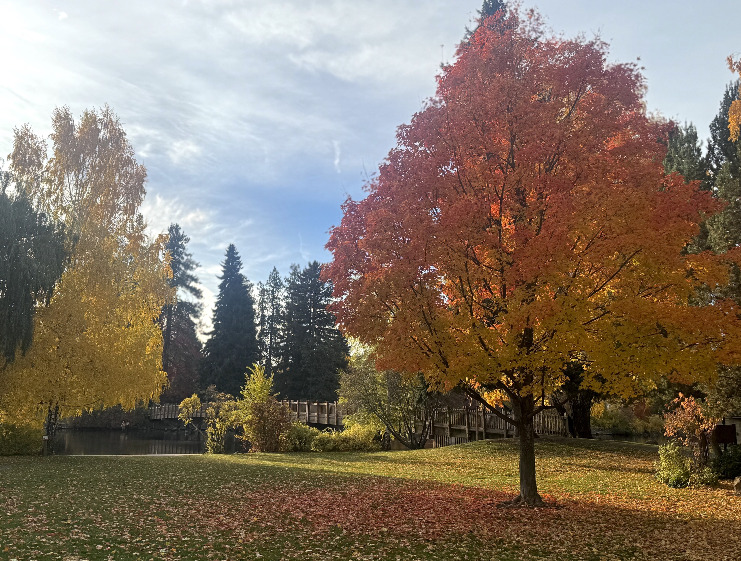 This & That: October 24, 2025