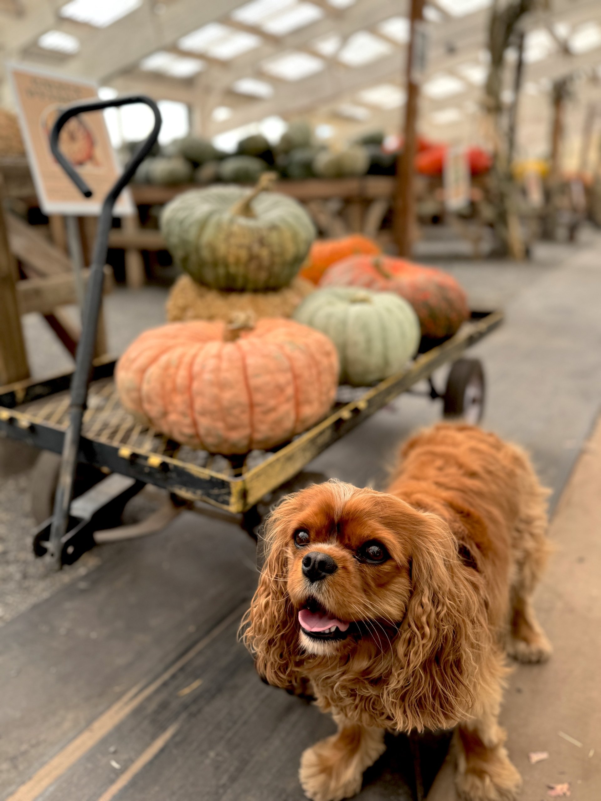 This & That: October 10, 2025