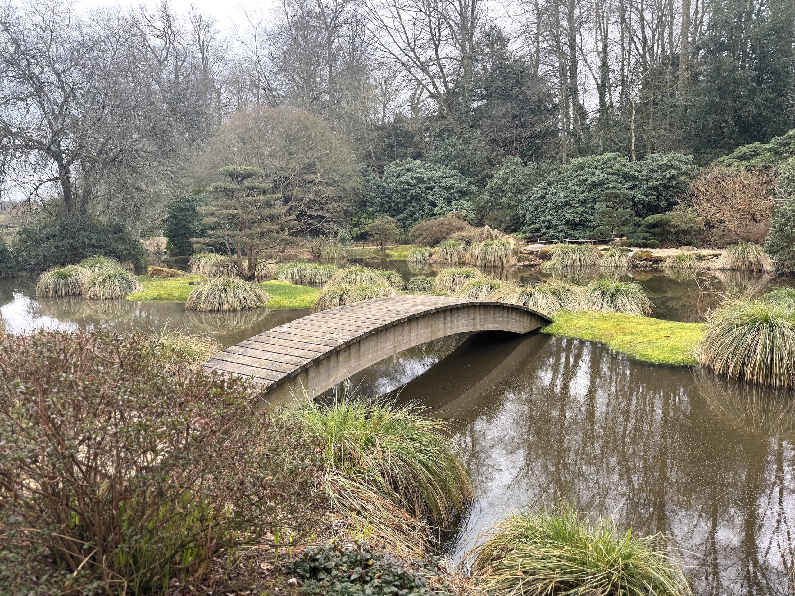 The Gratitude Effect: A Simple Shift for Profound Change