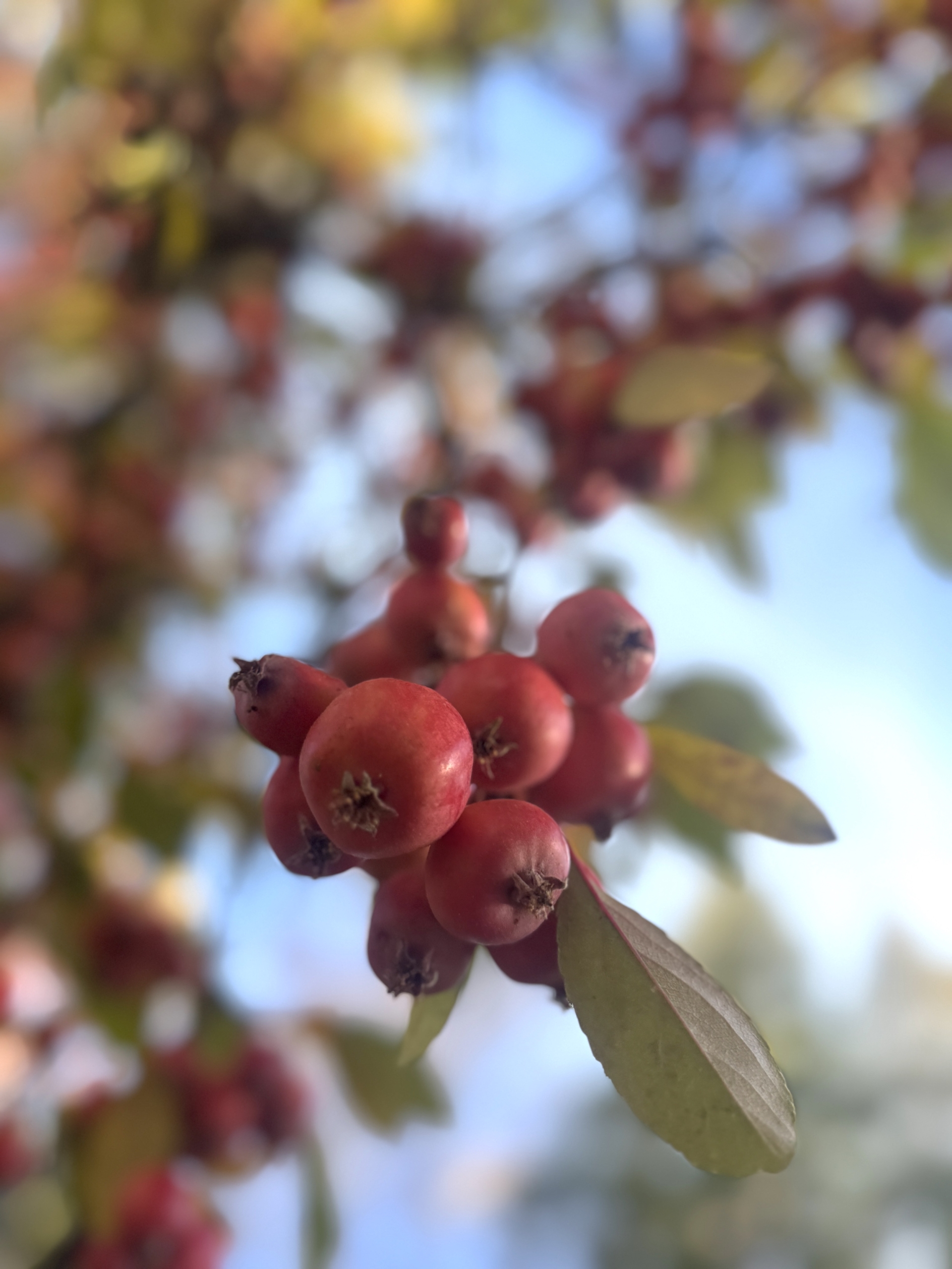 This & That: November 7, 2025