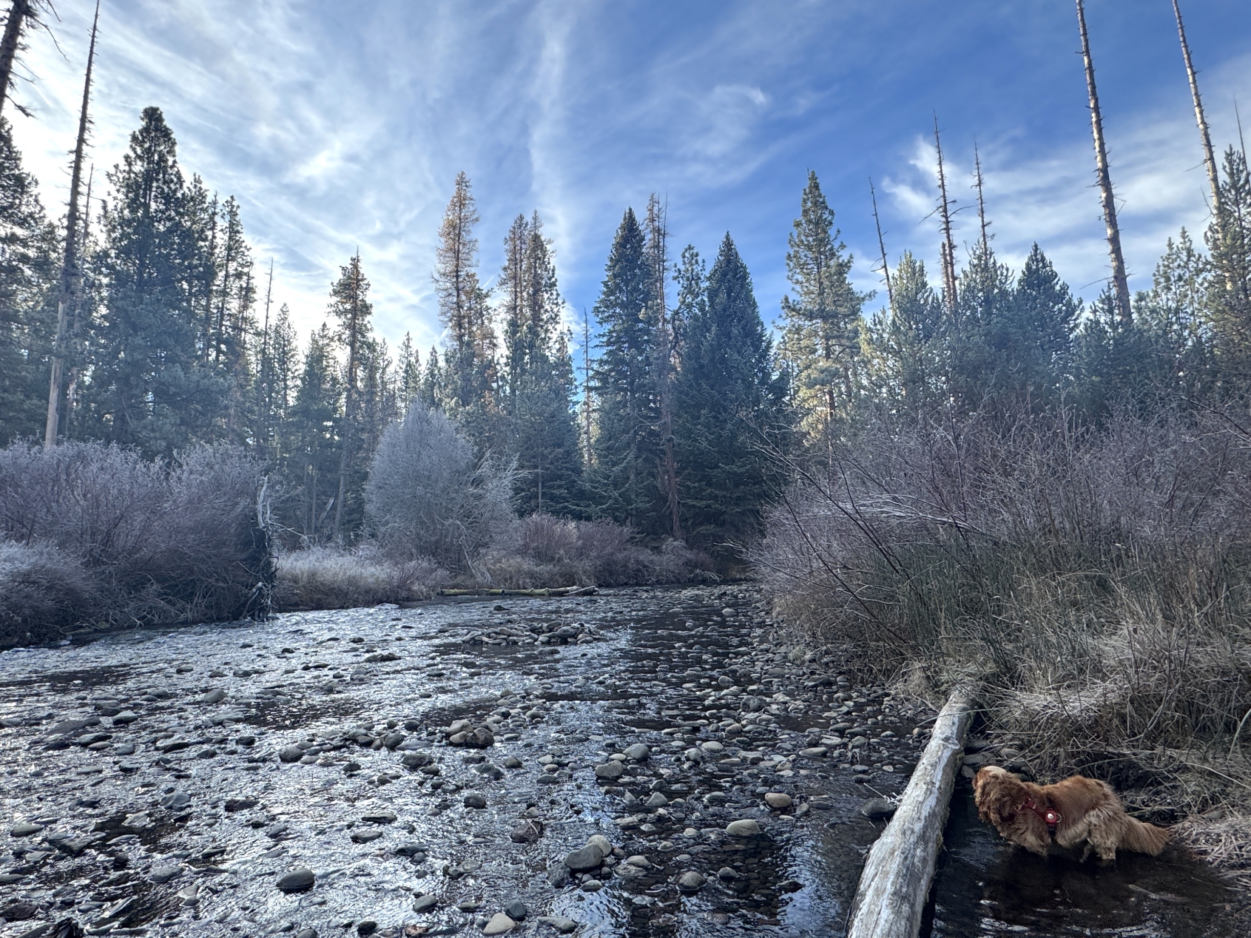 9 November Ponderings . . .