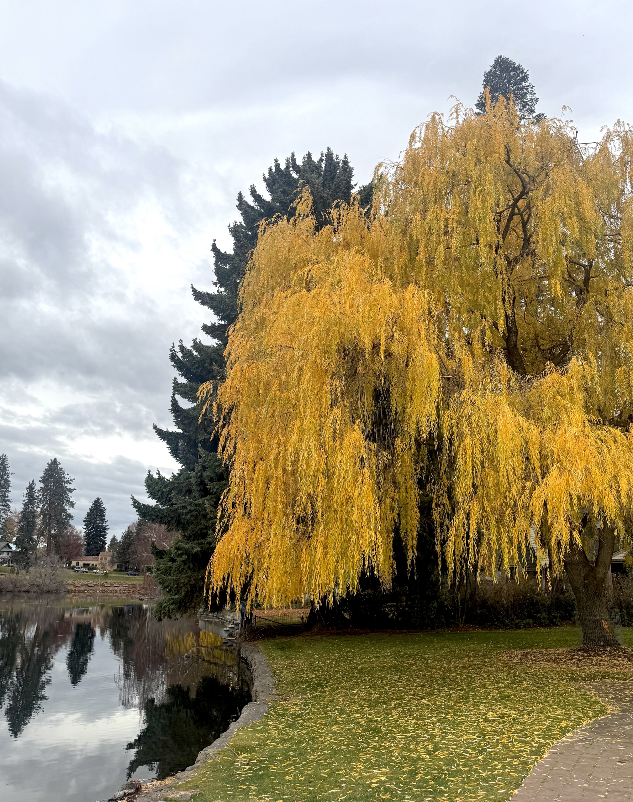 This & That: November 14, 2025