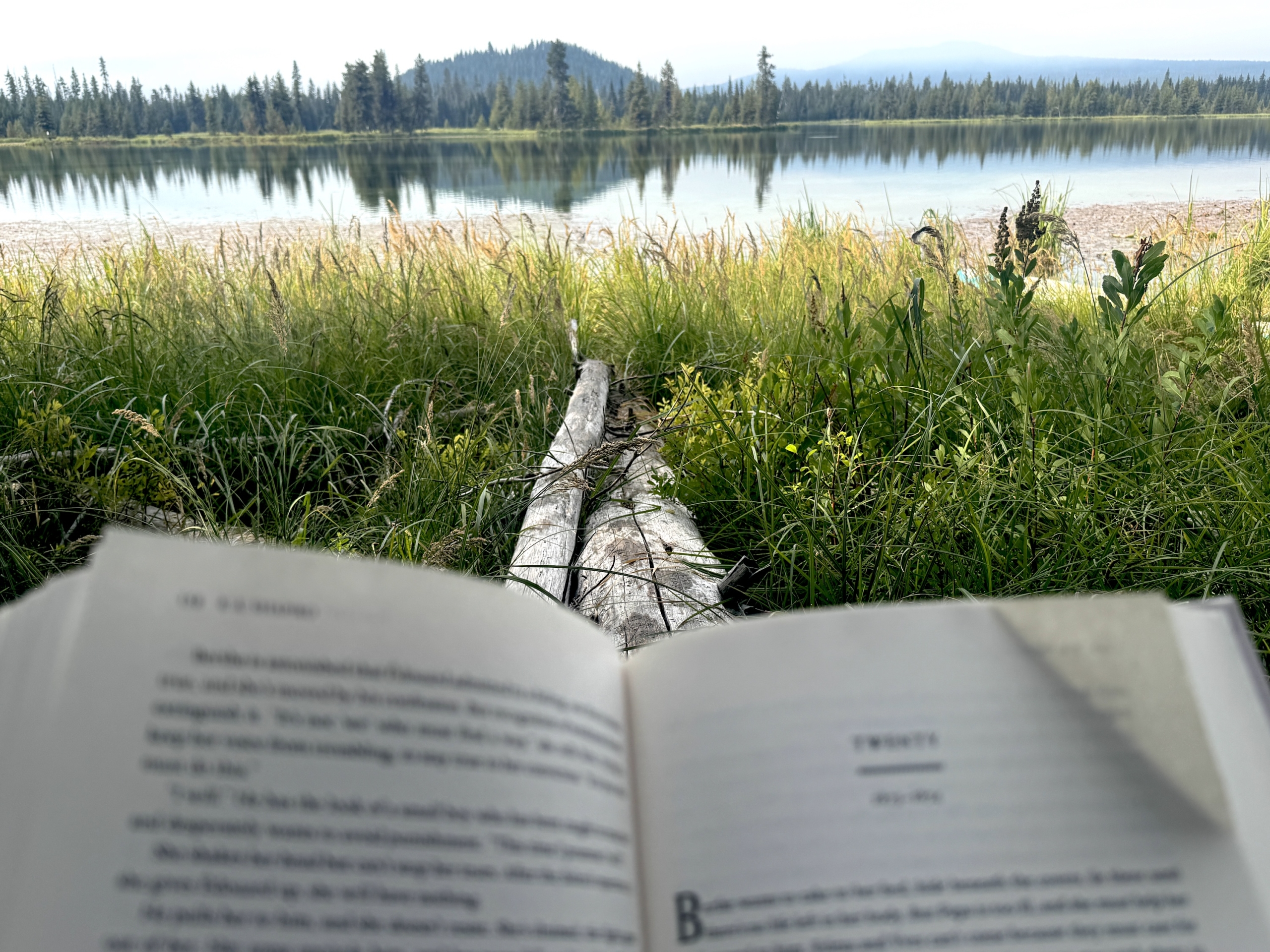 Why Not . . . Embrace More Analog Living in Your Daily Life? 28 Ideas to Try