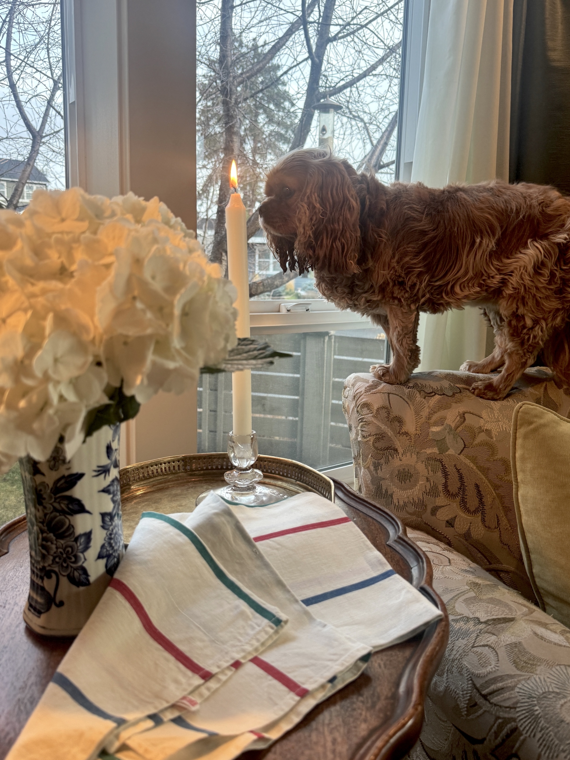 The Promise of Returning Light