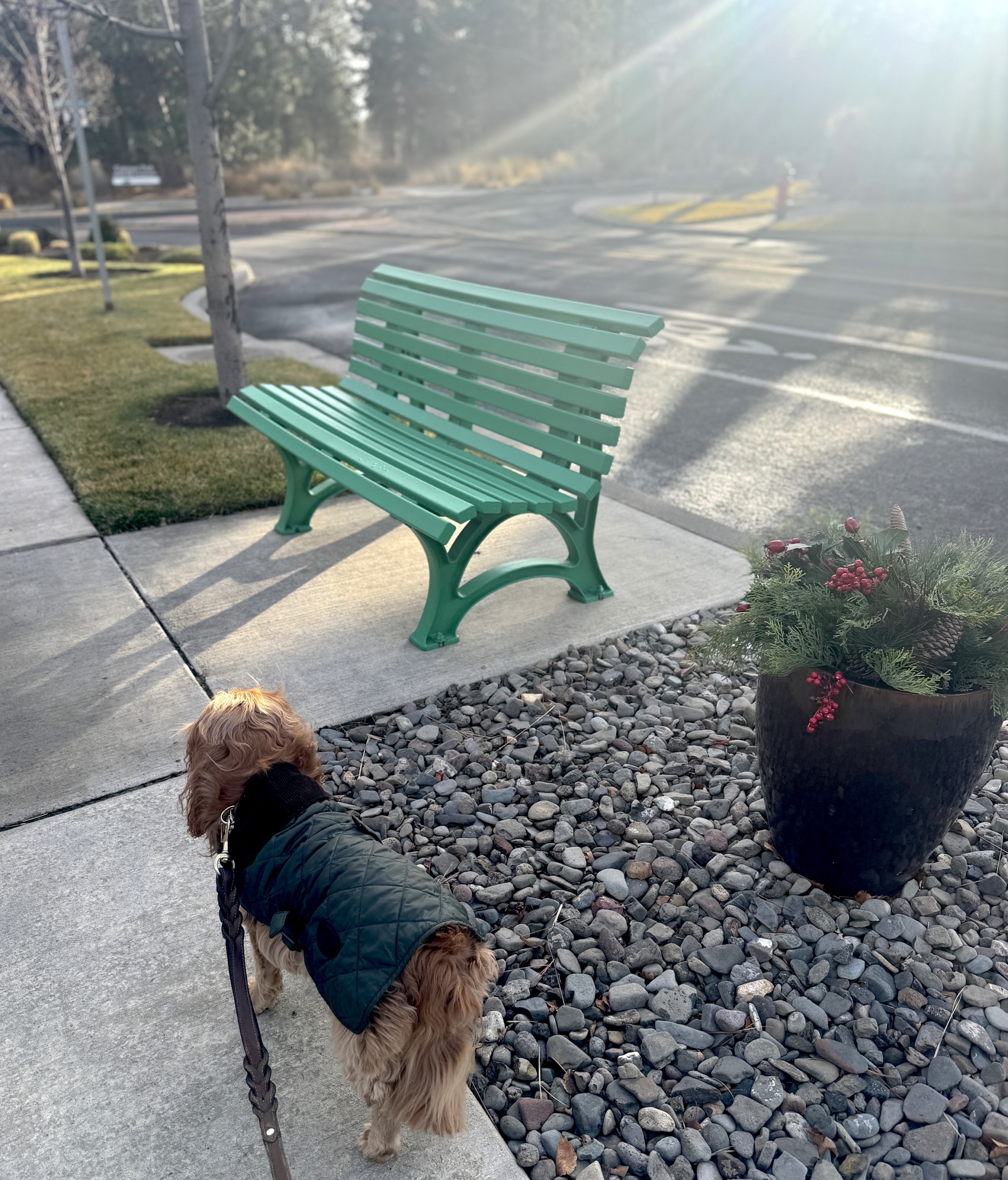 Joyeux Noël et Joyeuse Fêtes ! And TSLL’s Schedule for the Rest of 2025