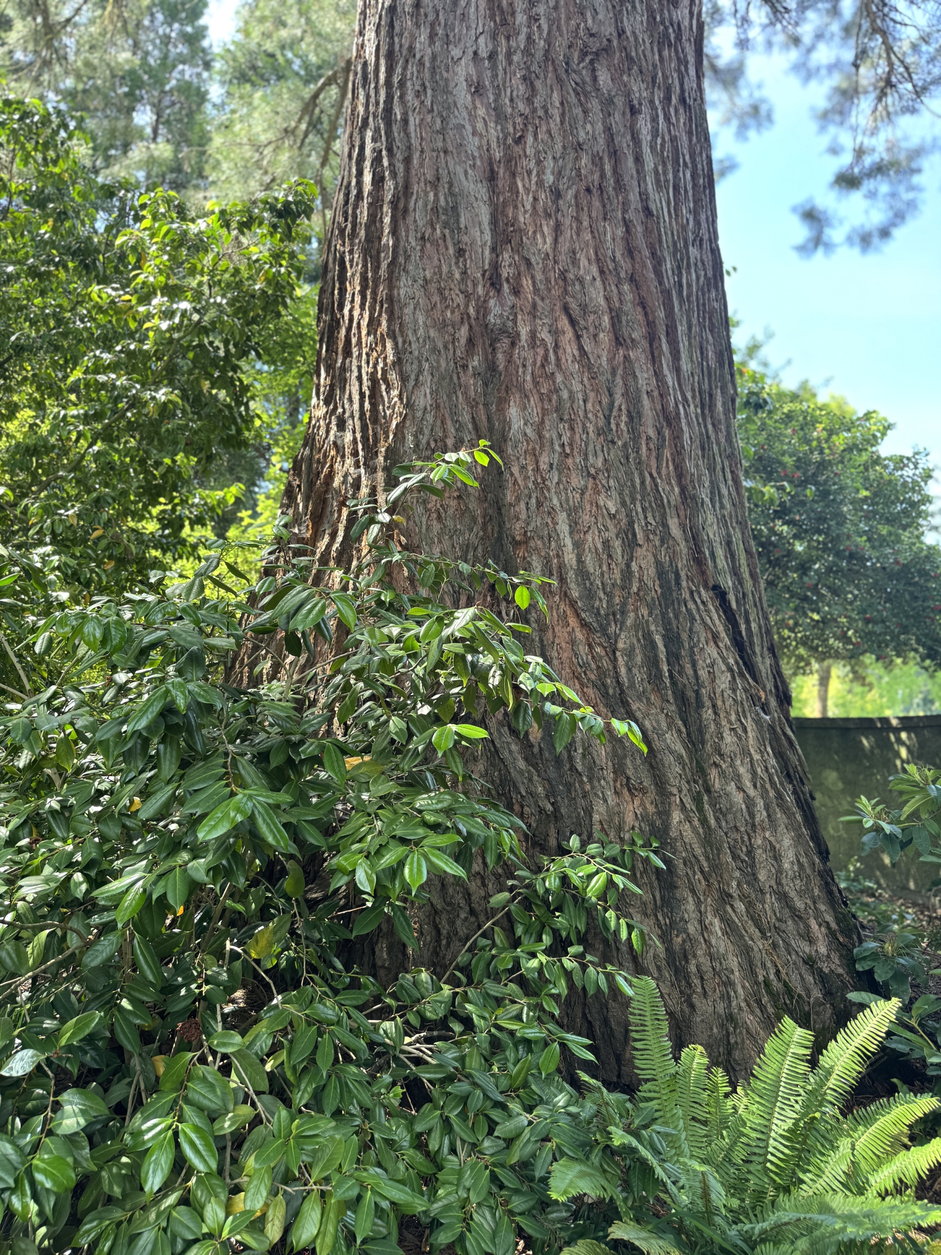 Growth is in the (temporary) Discomfort: The Importance of  Challenges