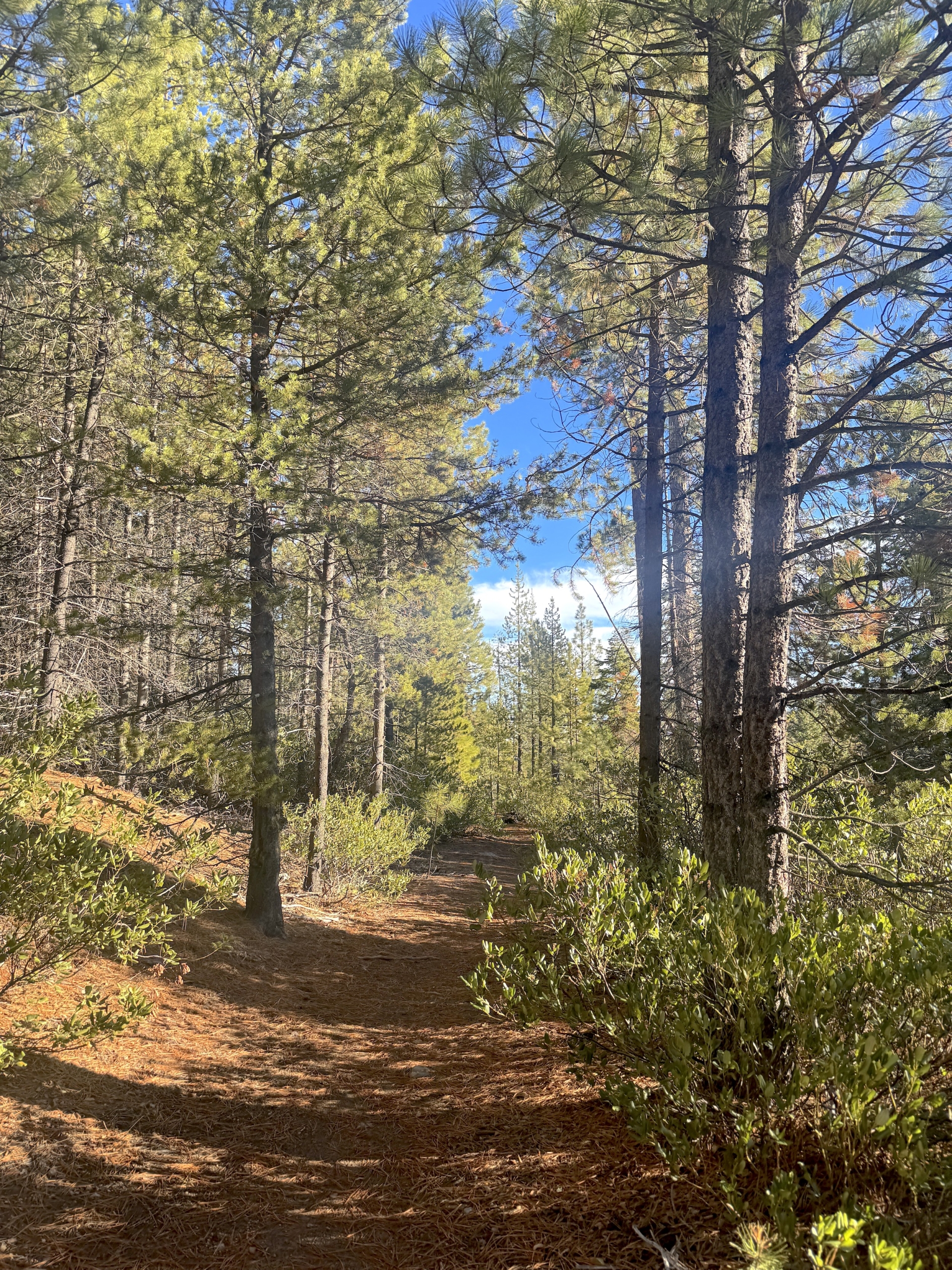 The Importance of Embarking on the Search