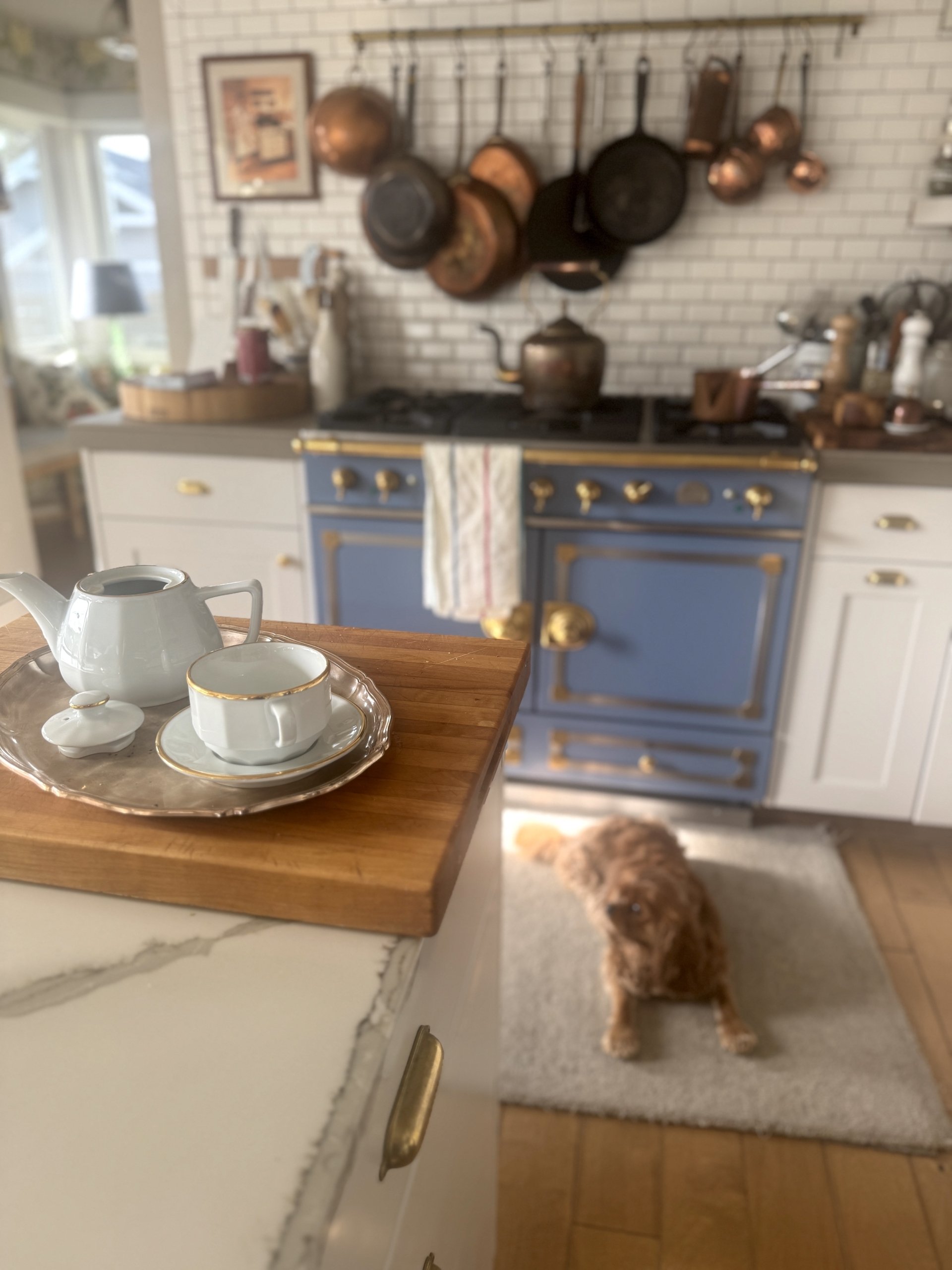 Nellekitchenchocolatchaudcupslookingaway