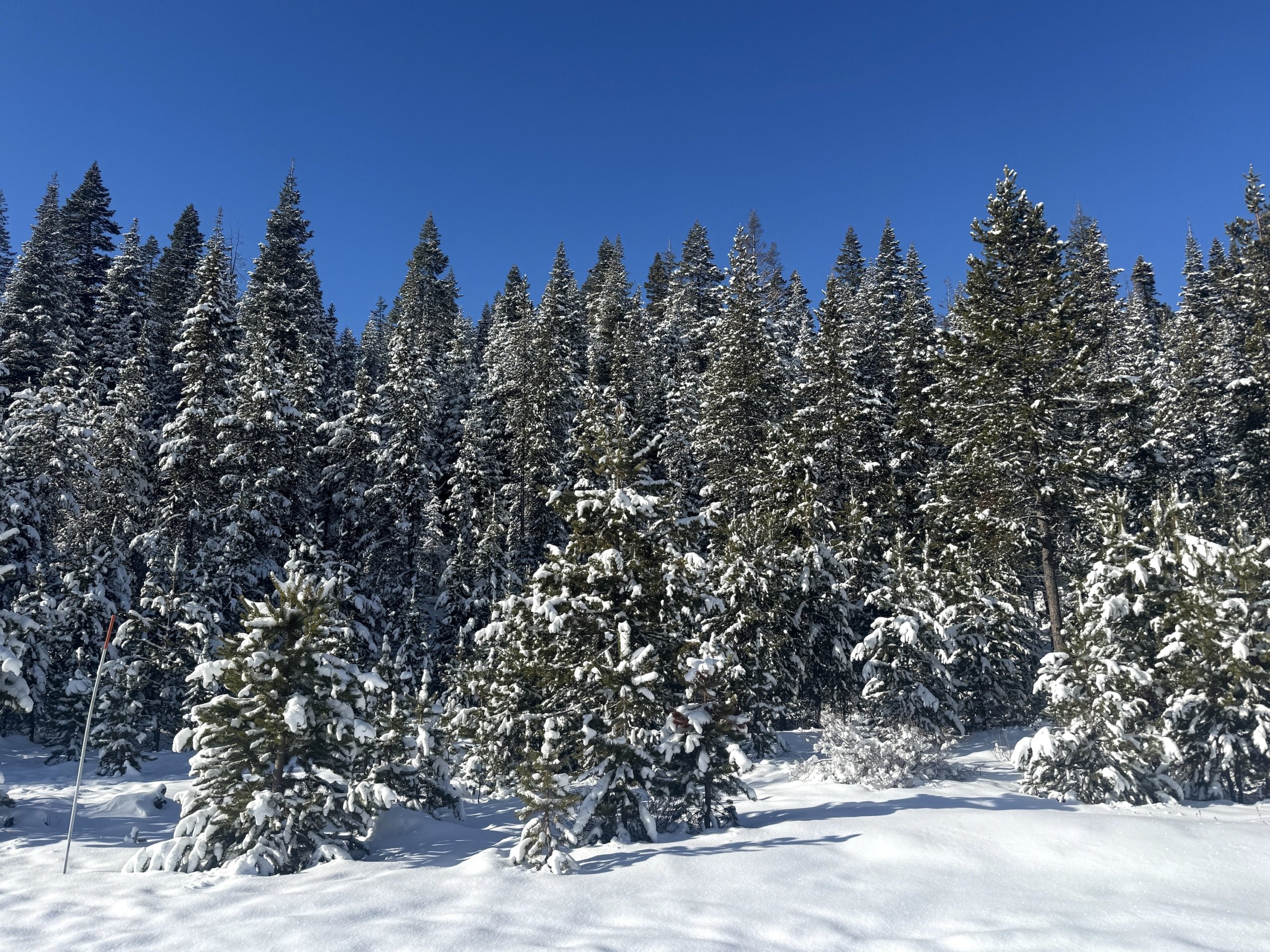 27 of Winter’s Offered Savorings, and the Five Specific Ways to Savor