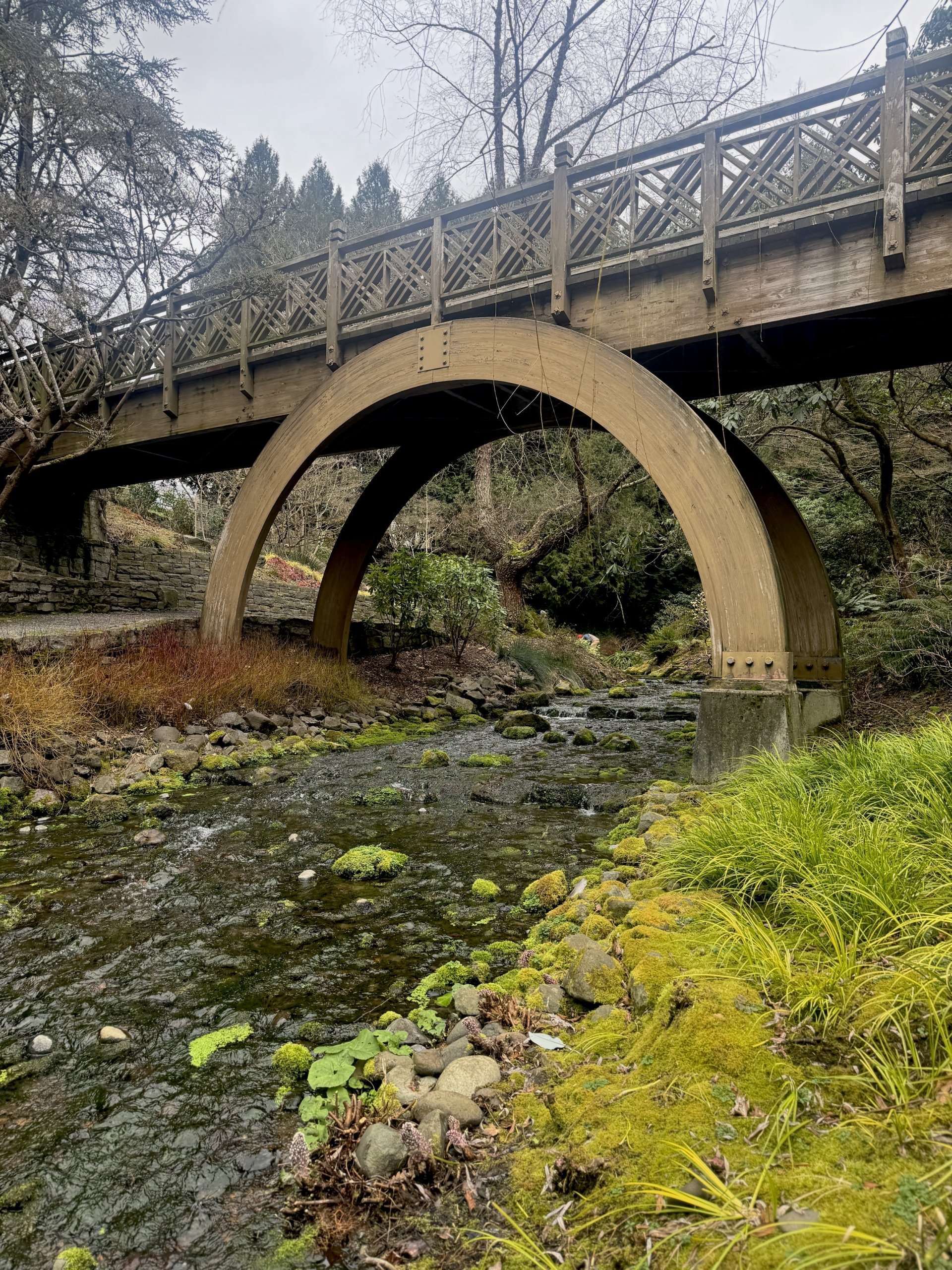 Backsidebridgecrystalrockchartreusegrass