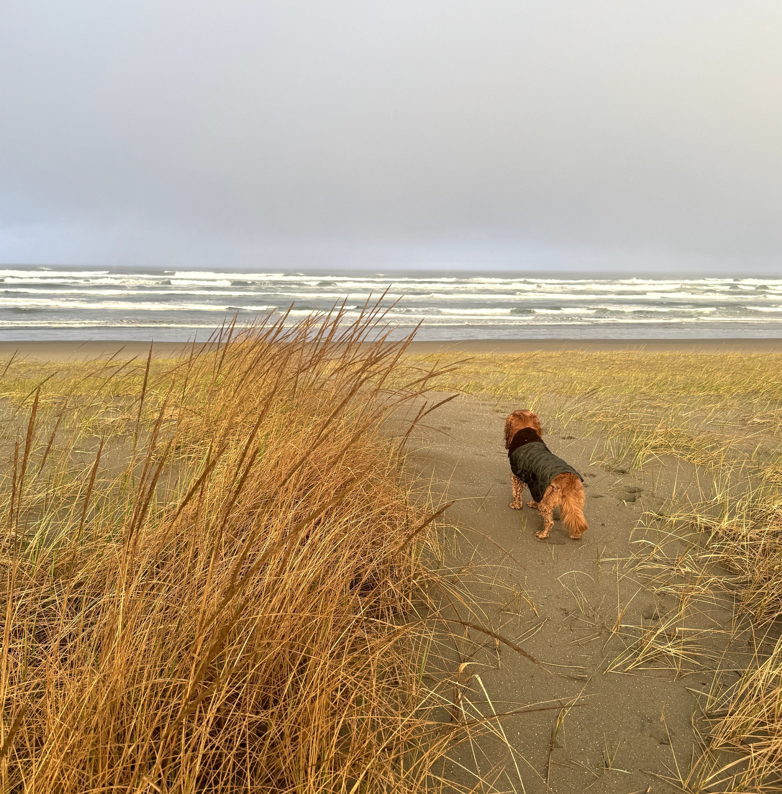 This & That: February 20, 2026