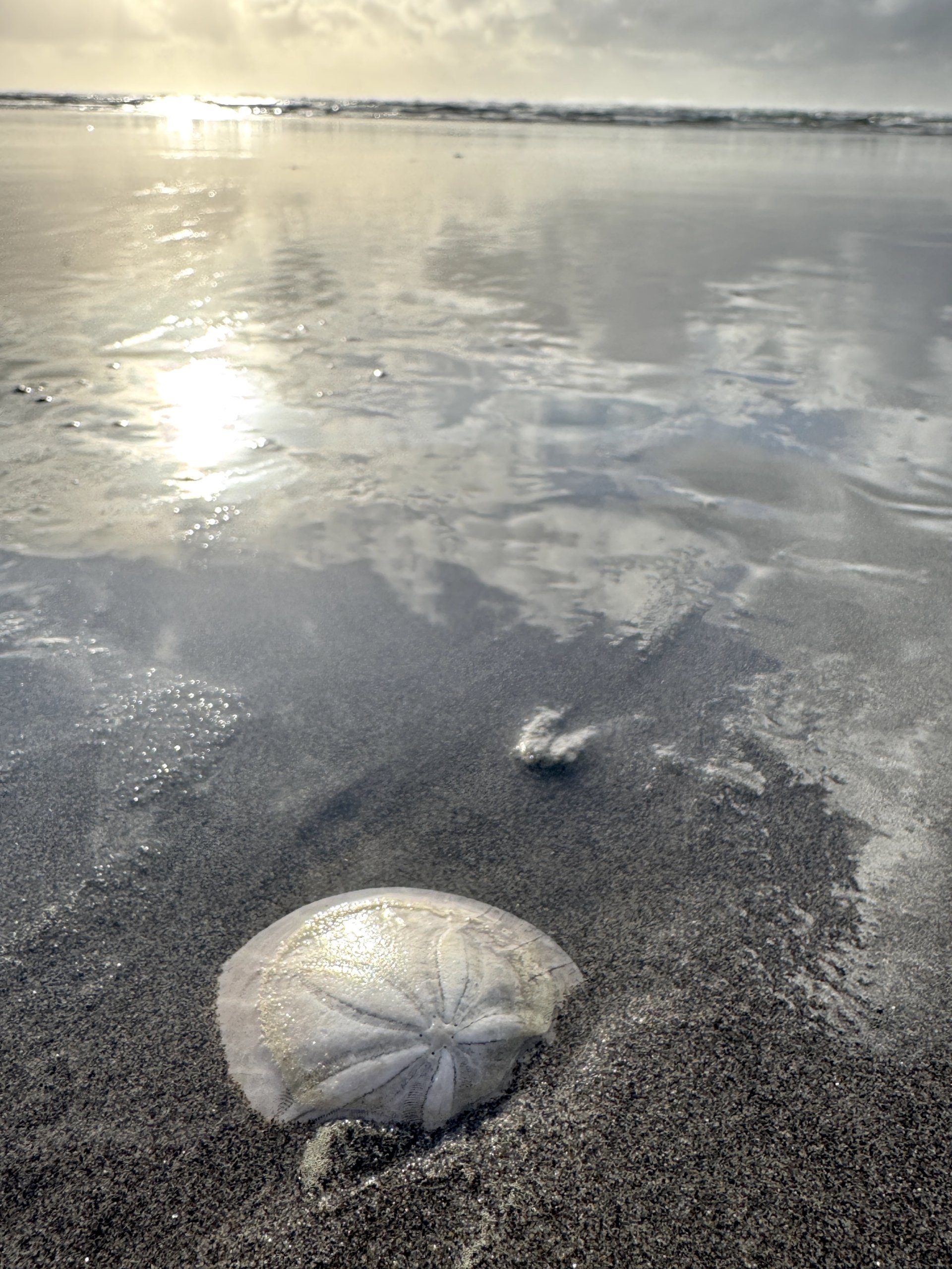 The Right Kind of Momentum