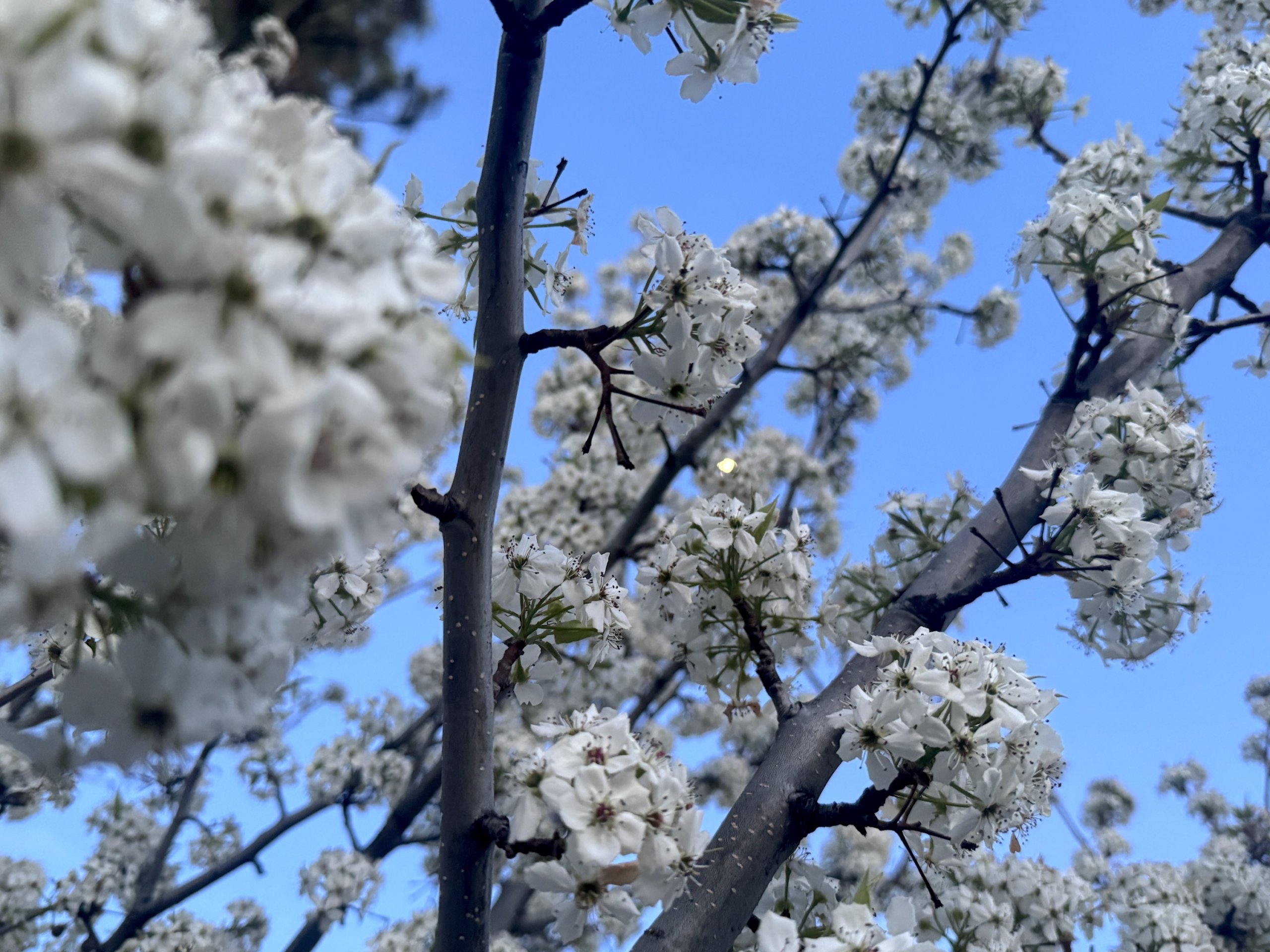 How to Transform Your Life