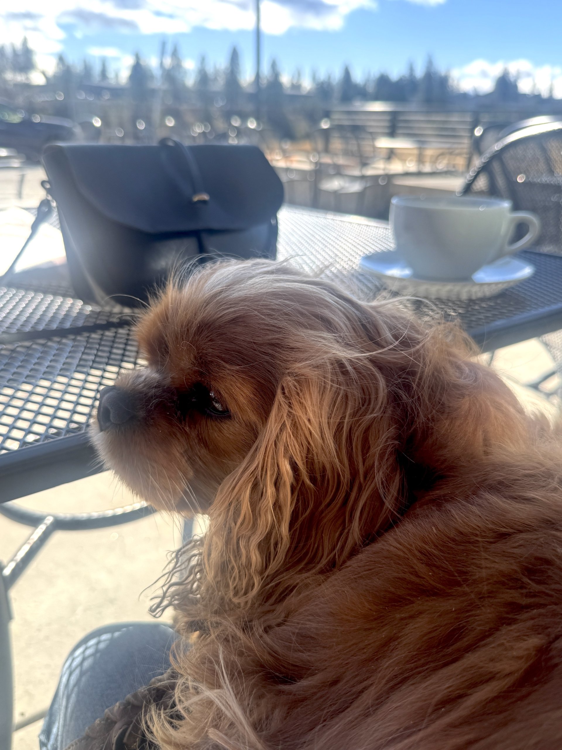 This & That: March 6, 2026