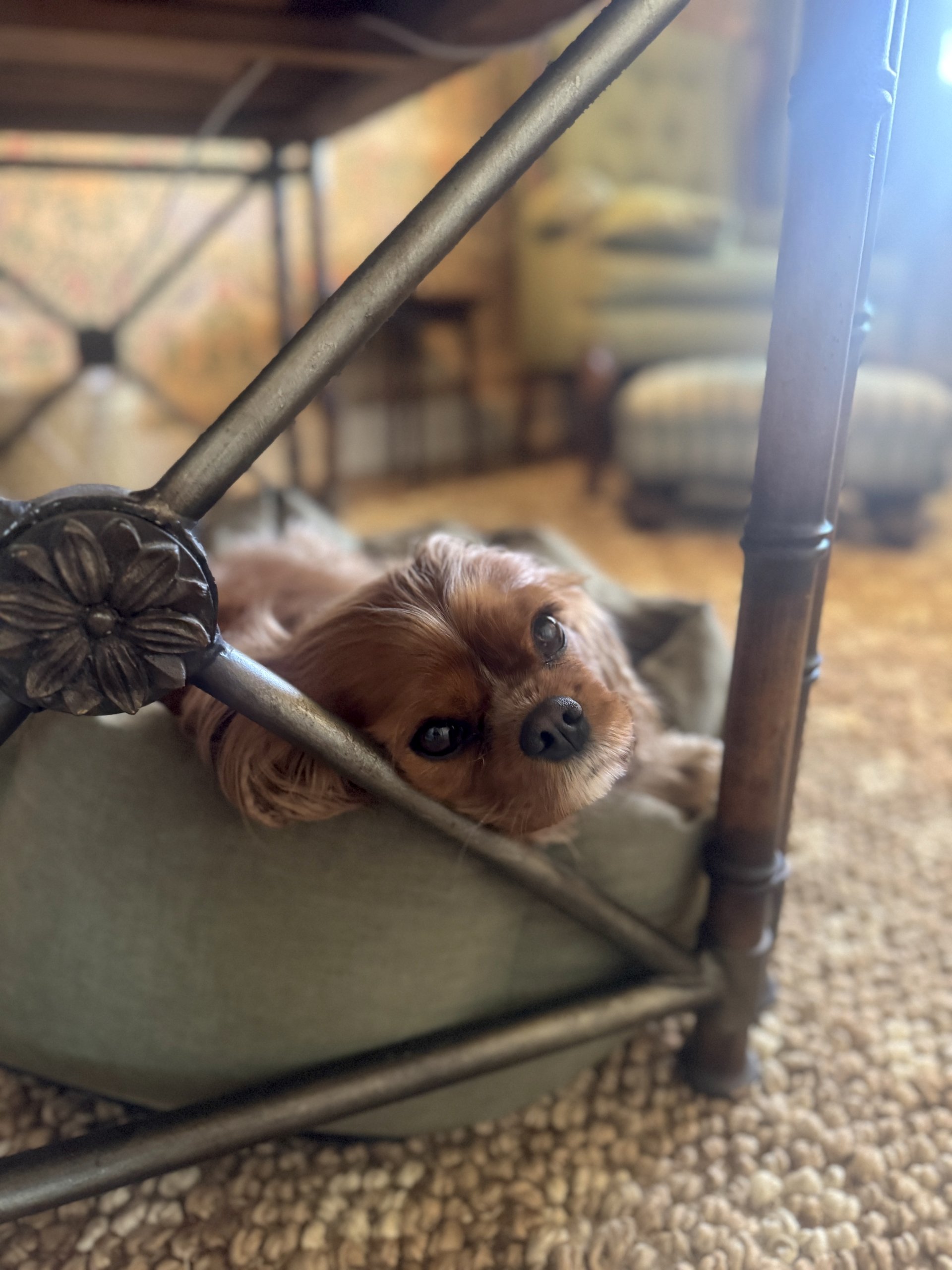 This & That: March 27, 2026