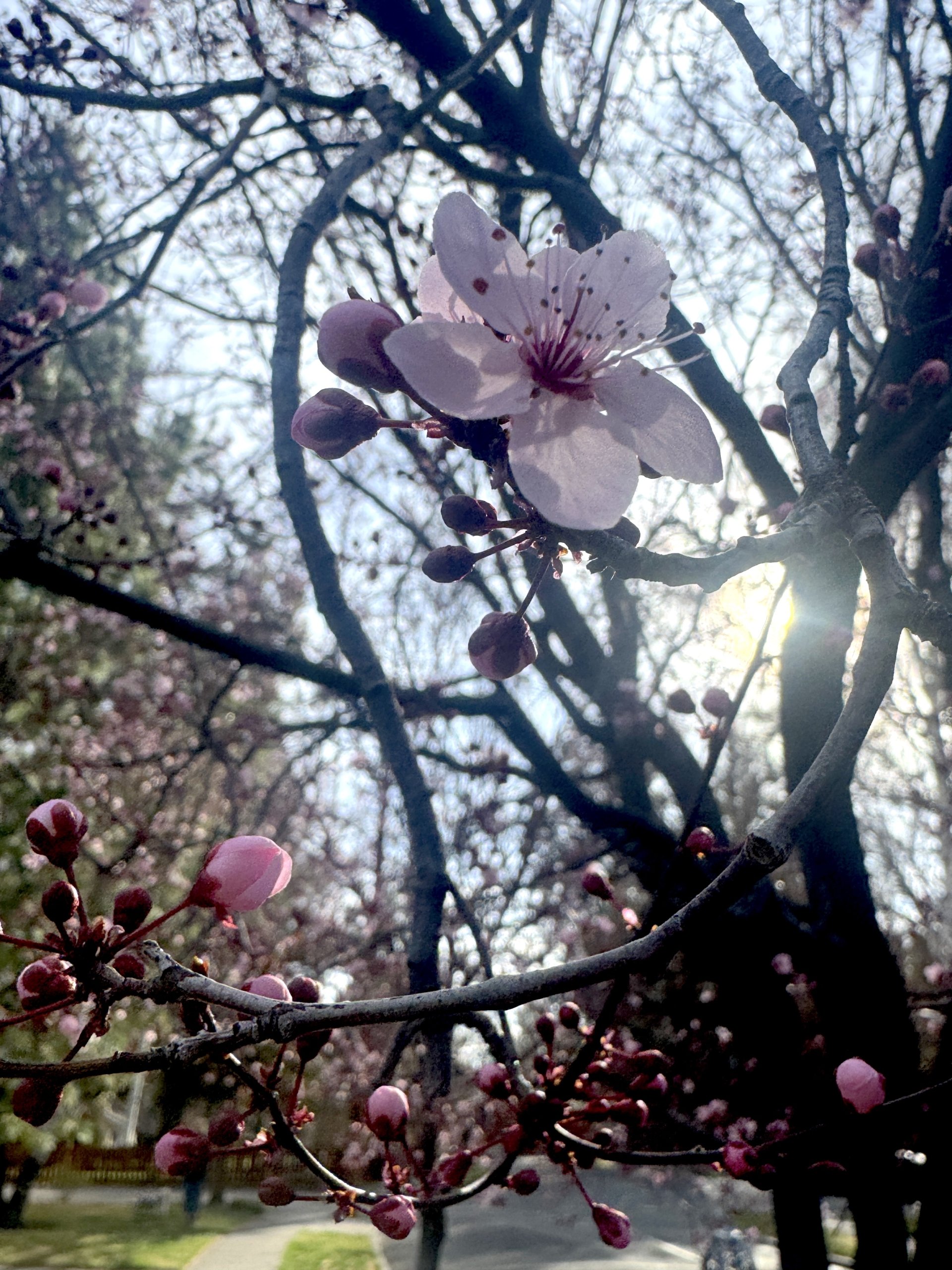 This & That: March 20, 2026