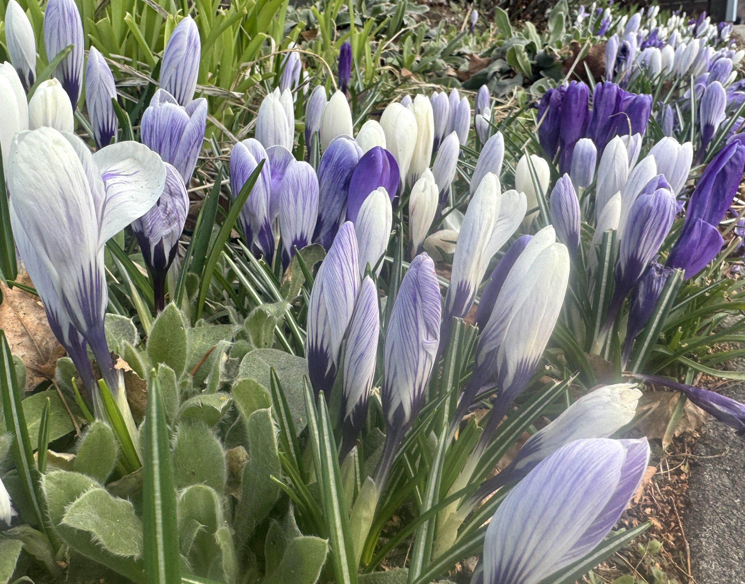 This & That: March 13, 2026