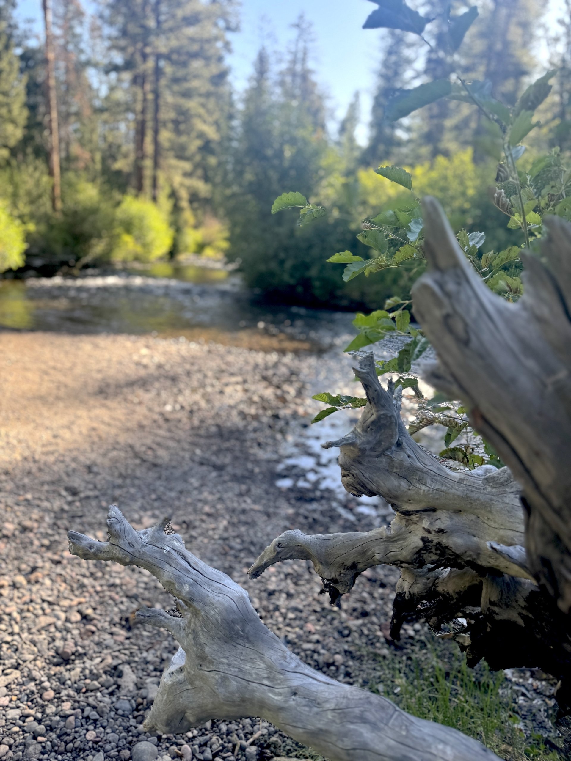 Choose to Face It in Order to Progress