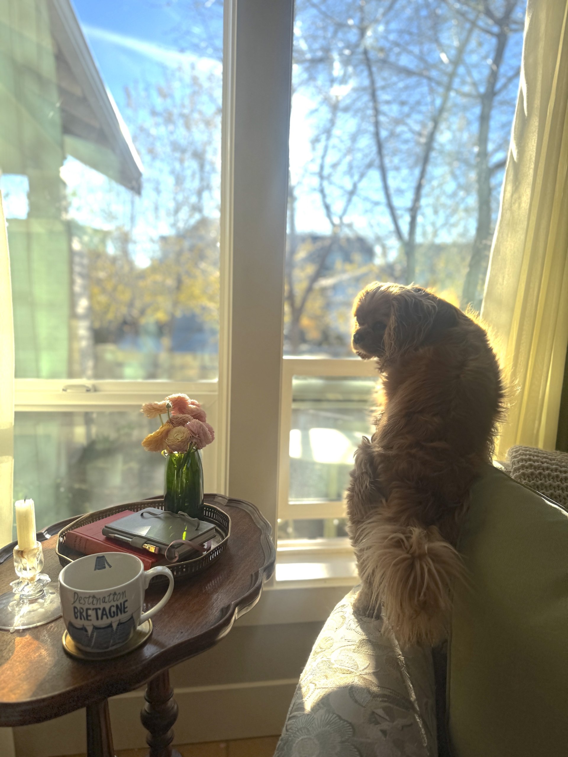 Nellestandingchairlivingroomwindowbest