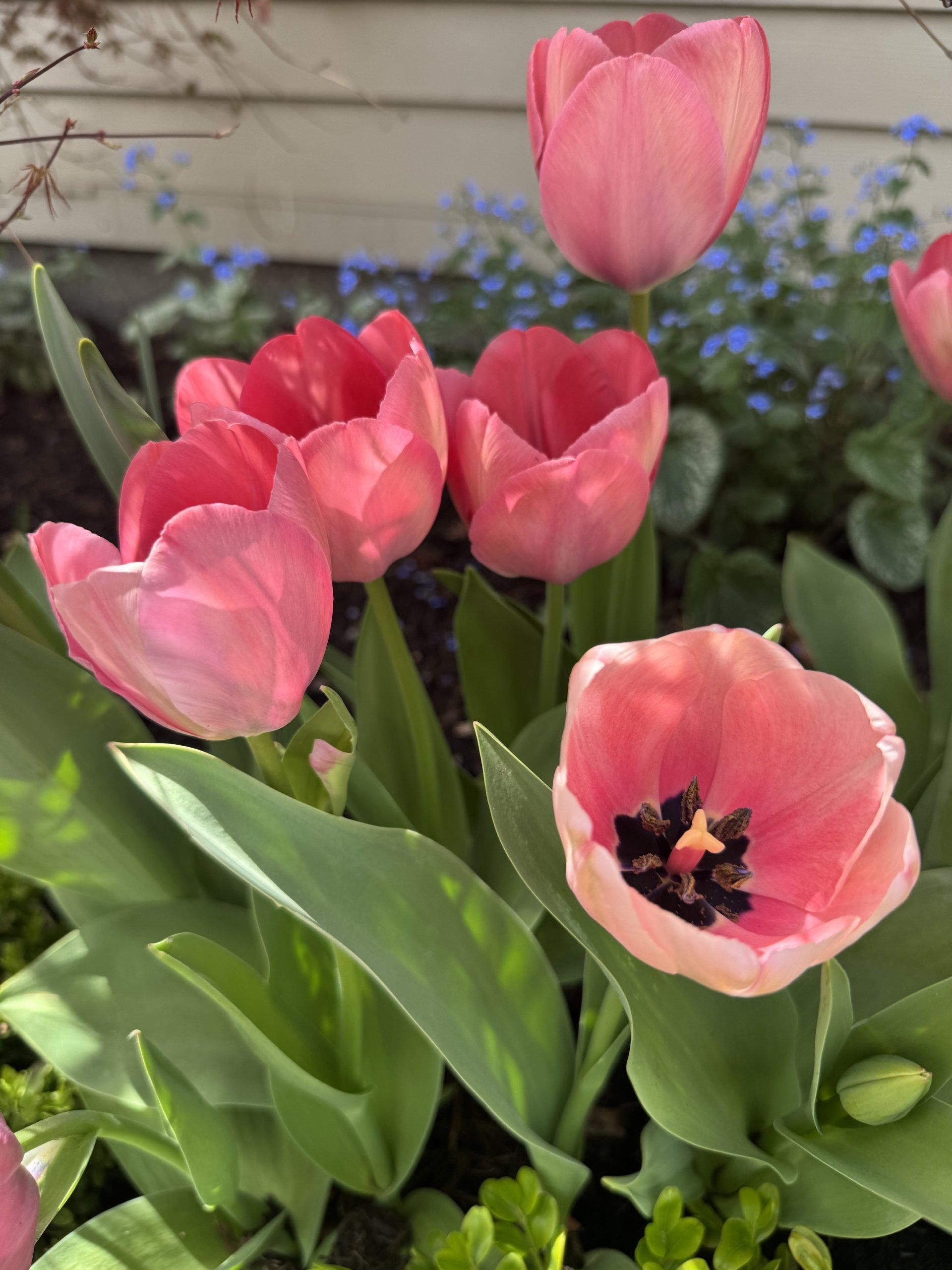 This & That: April 10, 2026